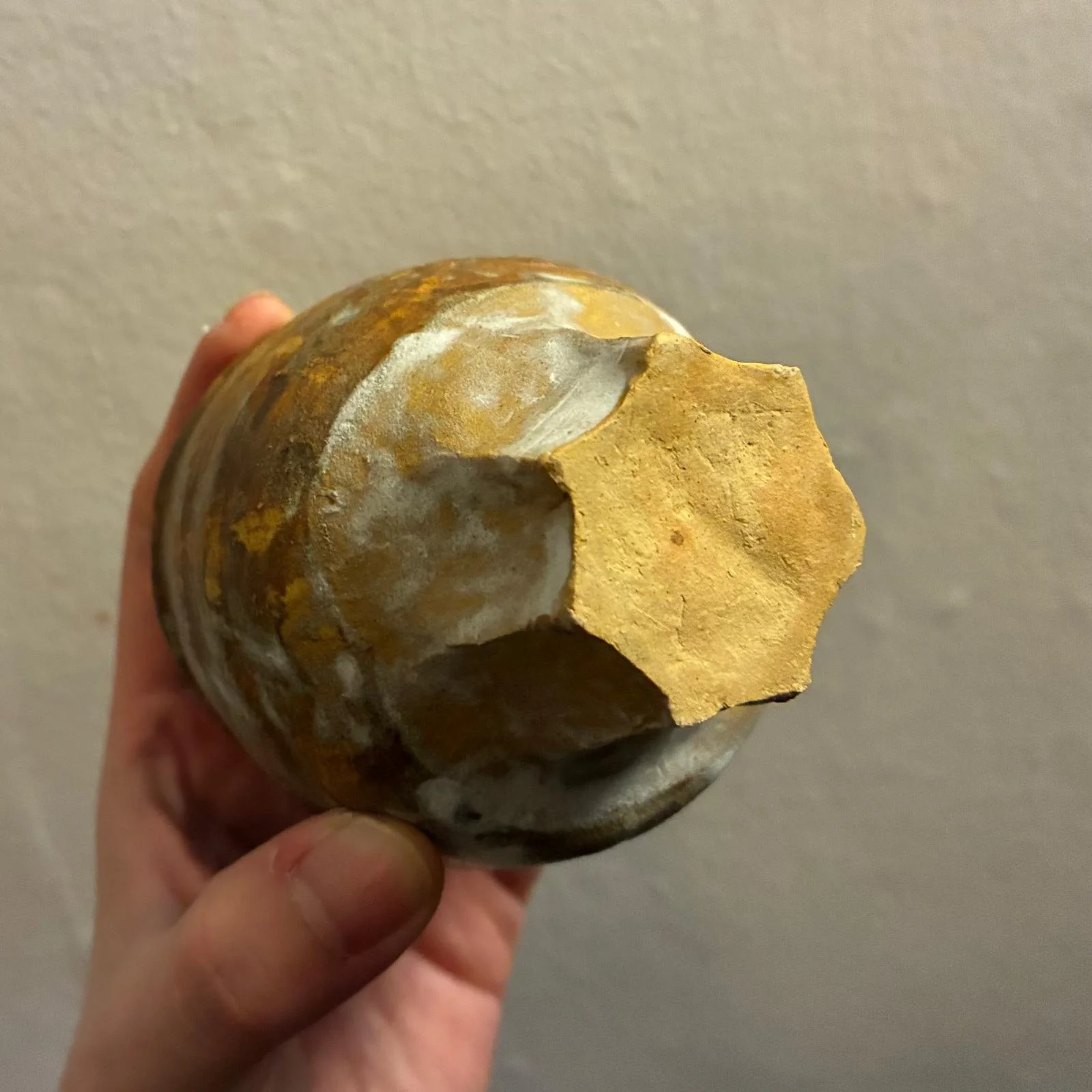 cup 2.jpeg