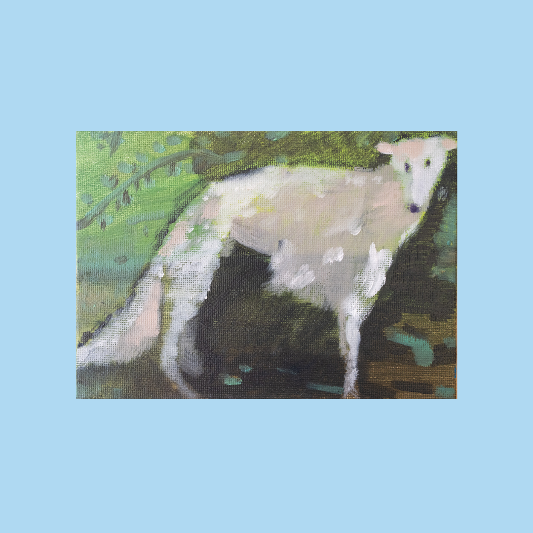 Alpine Dog Postcard