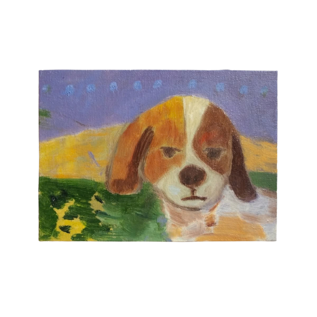 Bored dog