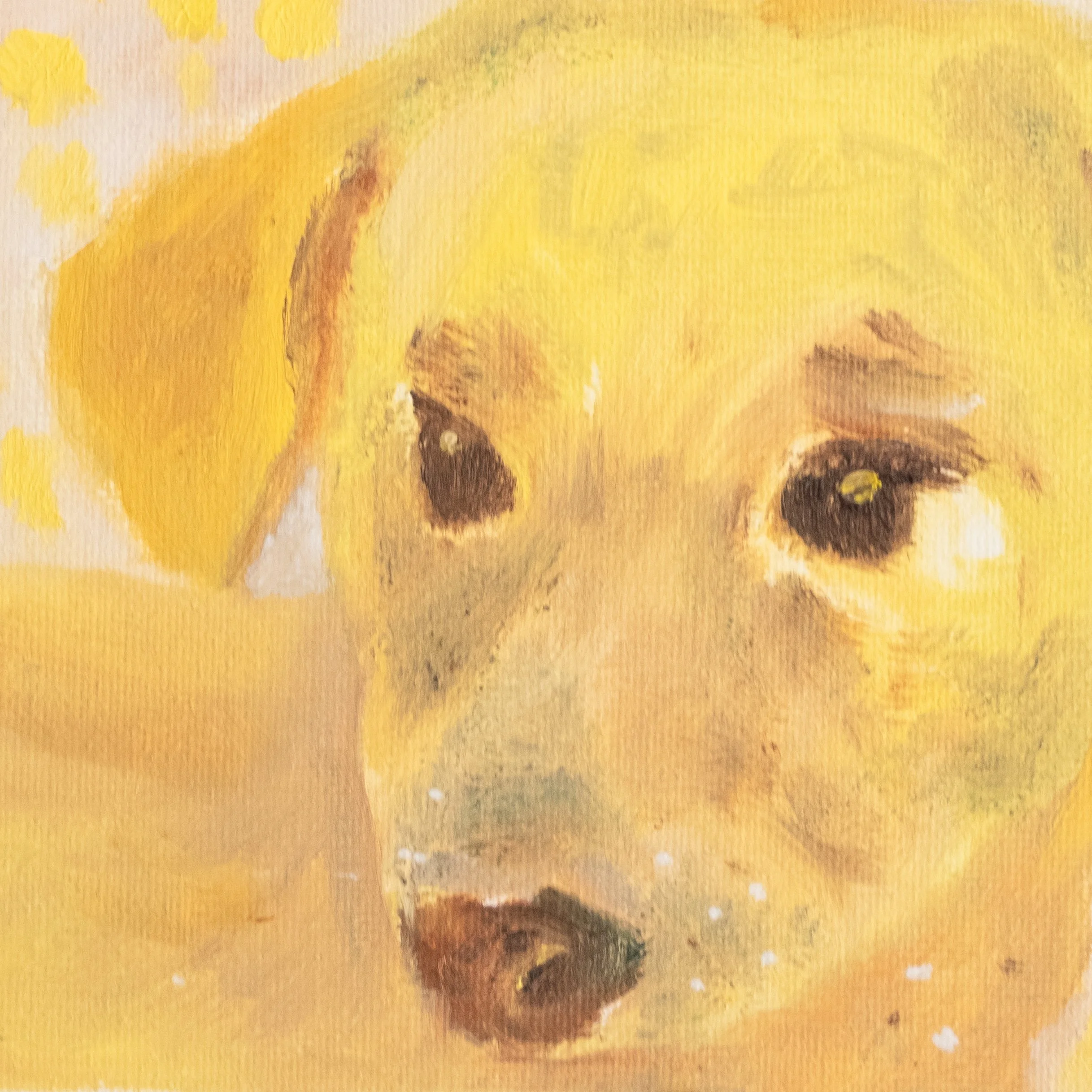young dog_detail.jpg