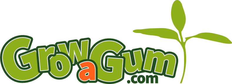 Grow a gum