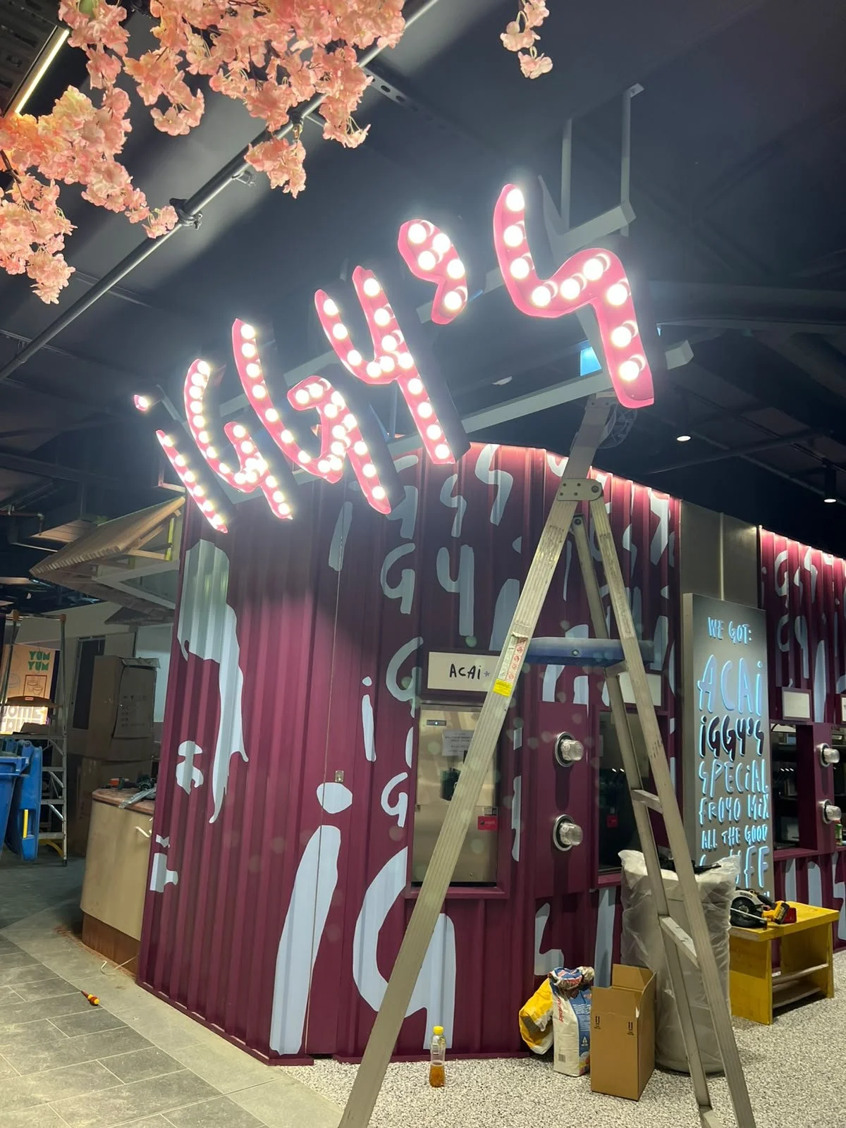 IGGY'S Frozen yogurt - Retail