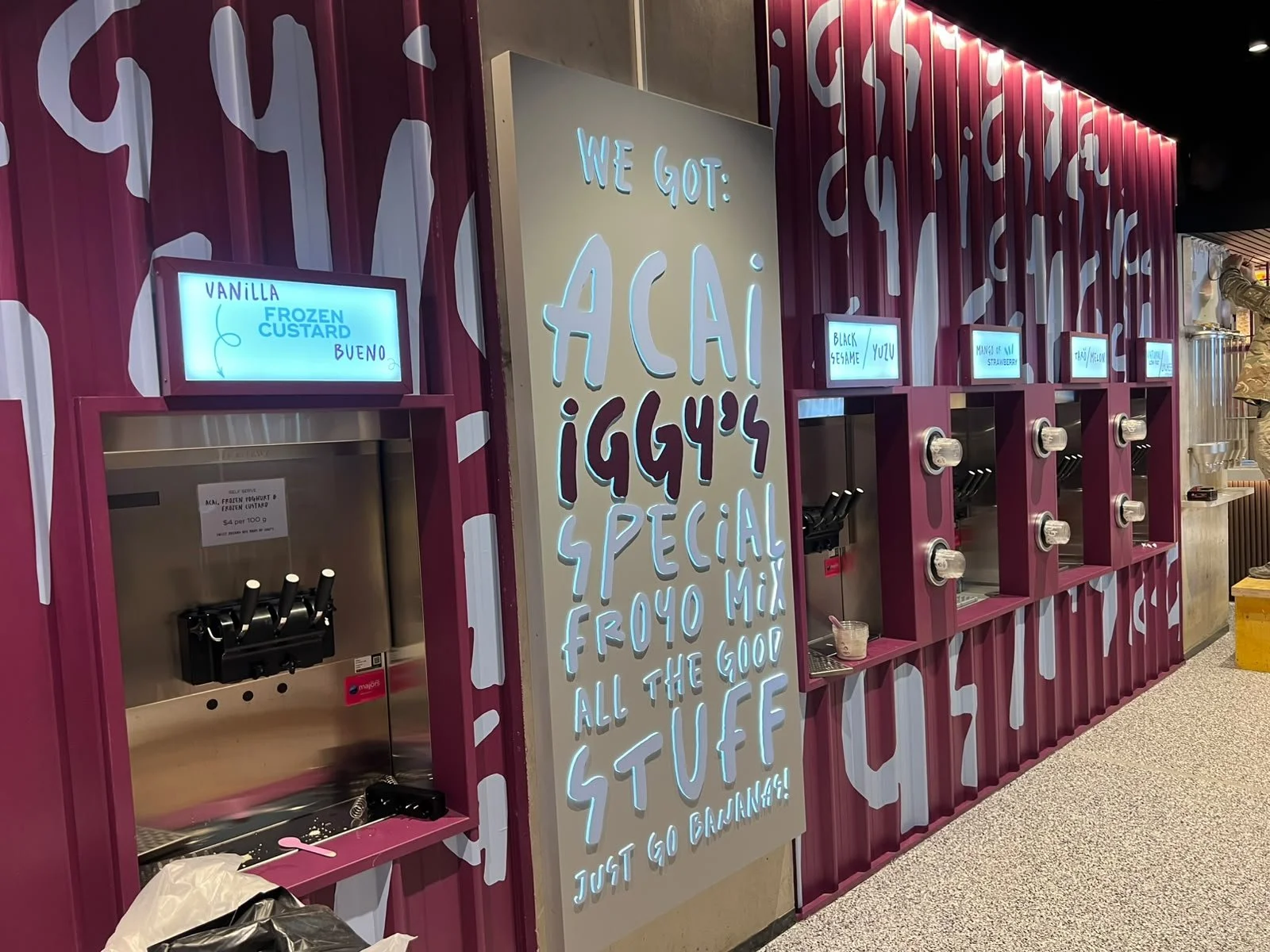 IGGY'S Frozen yogurt - Retail