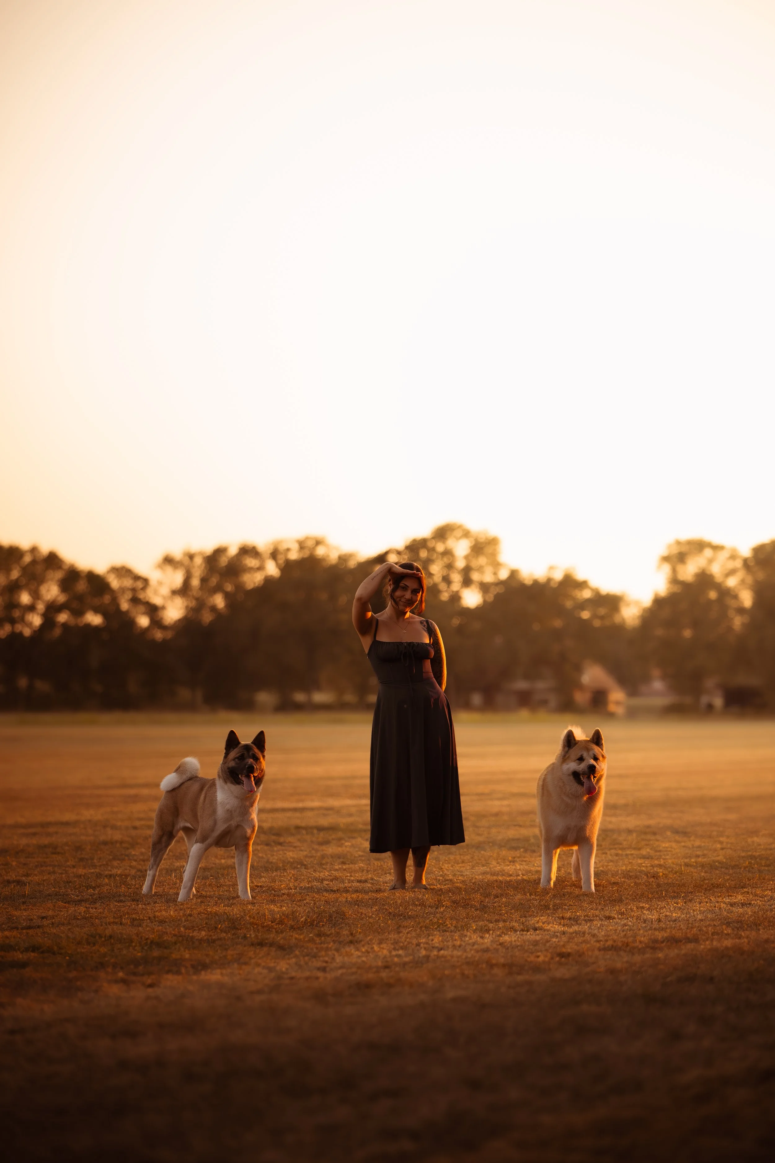 A woman in a long black dress standing on a grassy field at sunset with two Akita dogs, one red and white and the other cream and white, on either side, all looking happy and relaxed.