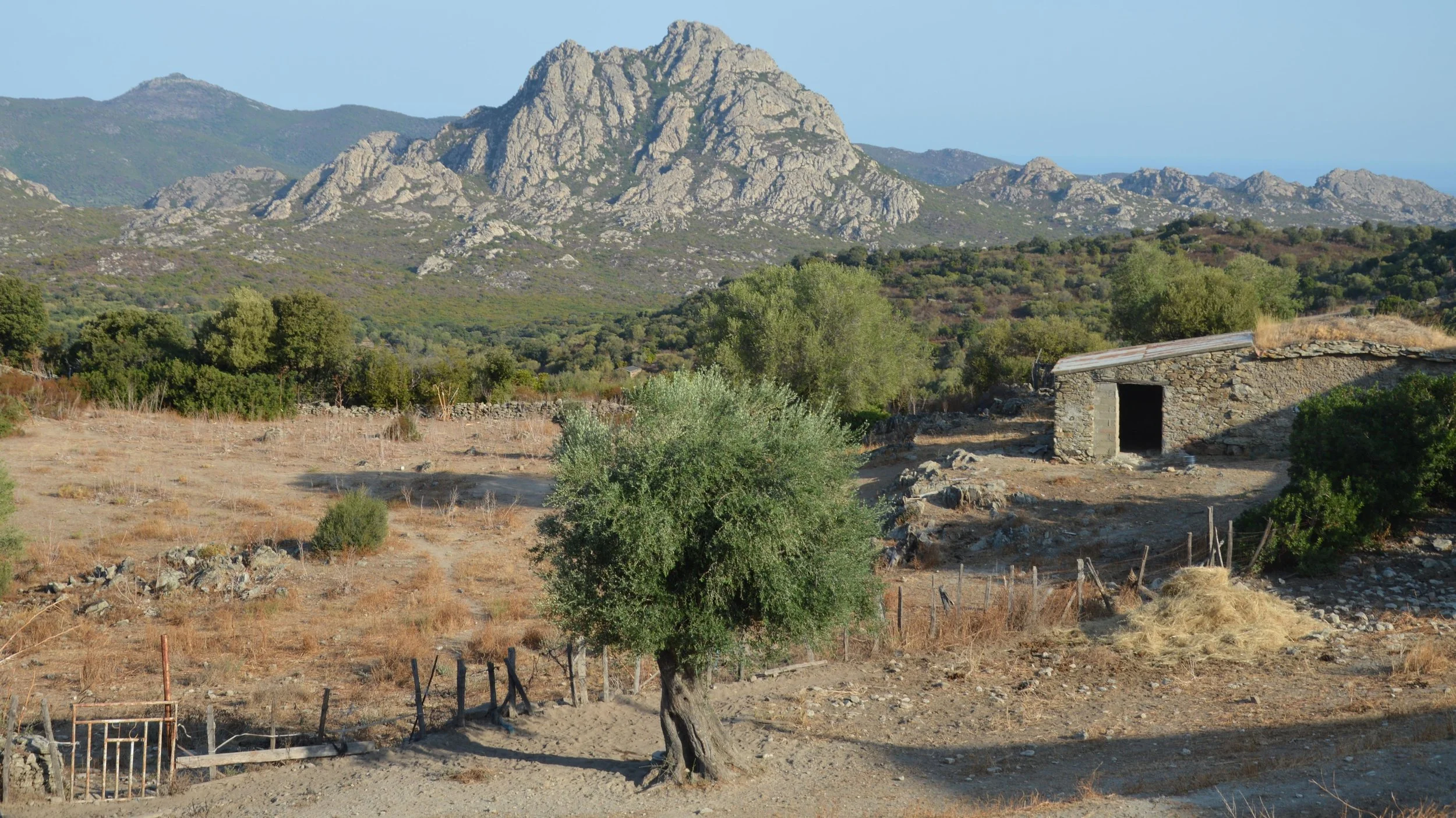 Bergdorp in het binnenland van Sardinië met het Supramonte-gebergte op de achtergrond