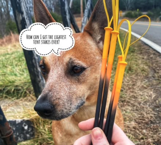 Dog with a speech bubble asking, "How can I get the lightest tent stakes ever?" Person holding three tent stakes of varying weights in front of the dog outside near a road and fence.