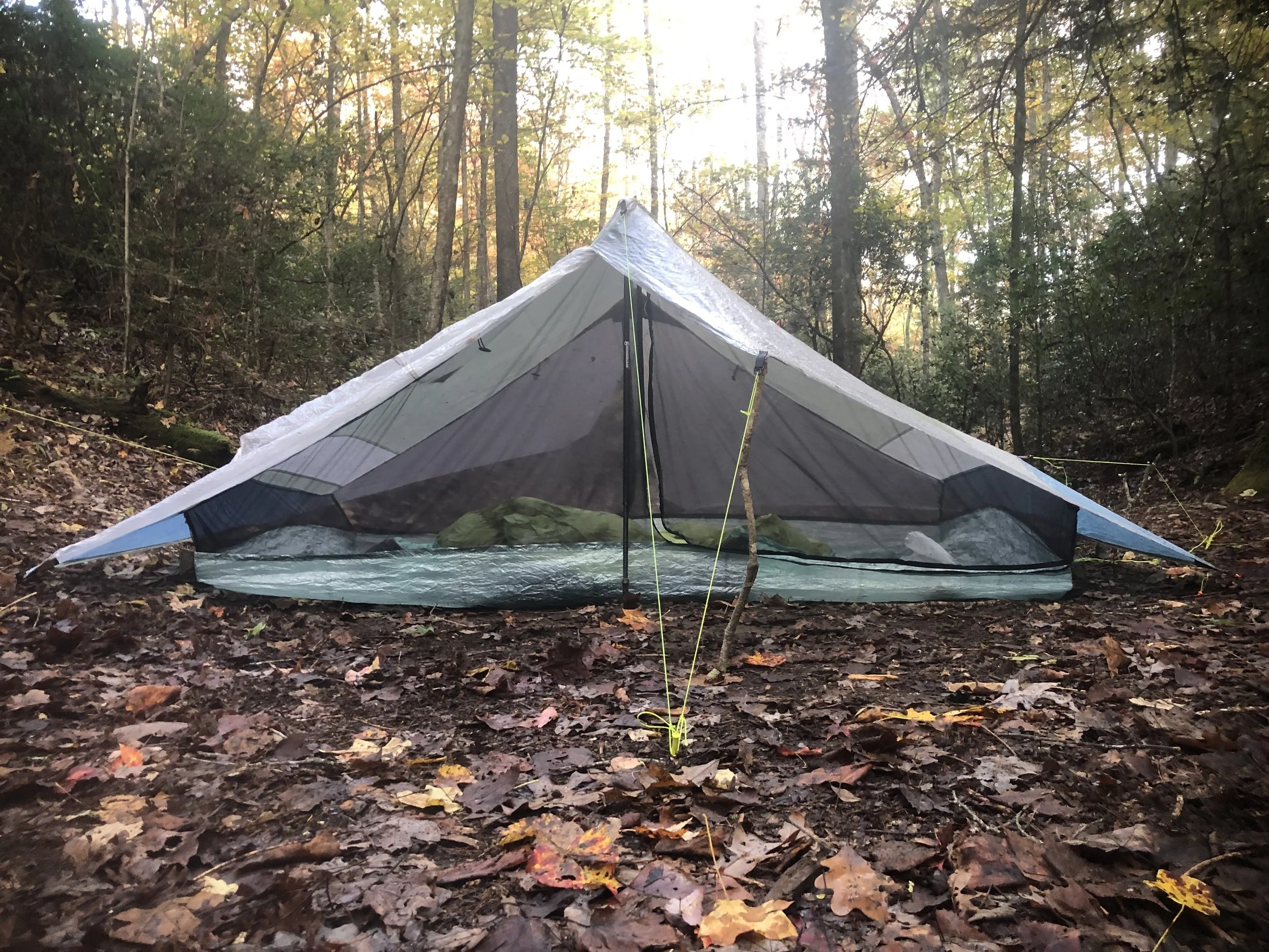 A tent set up in a forest with tall trees and autumn foliage, with fallen leaves covering the ground.