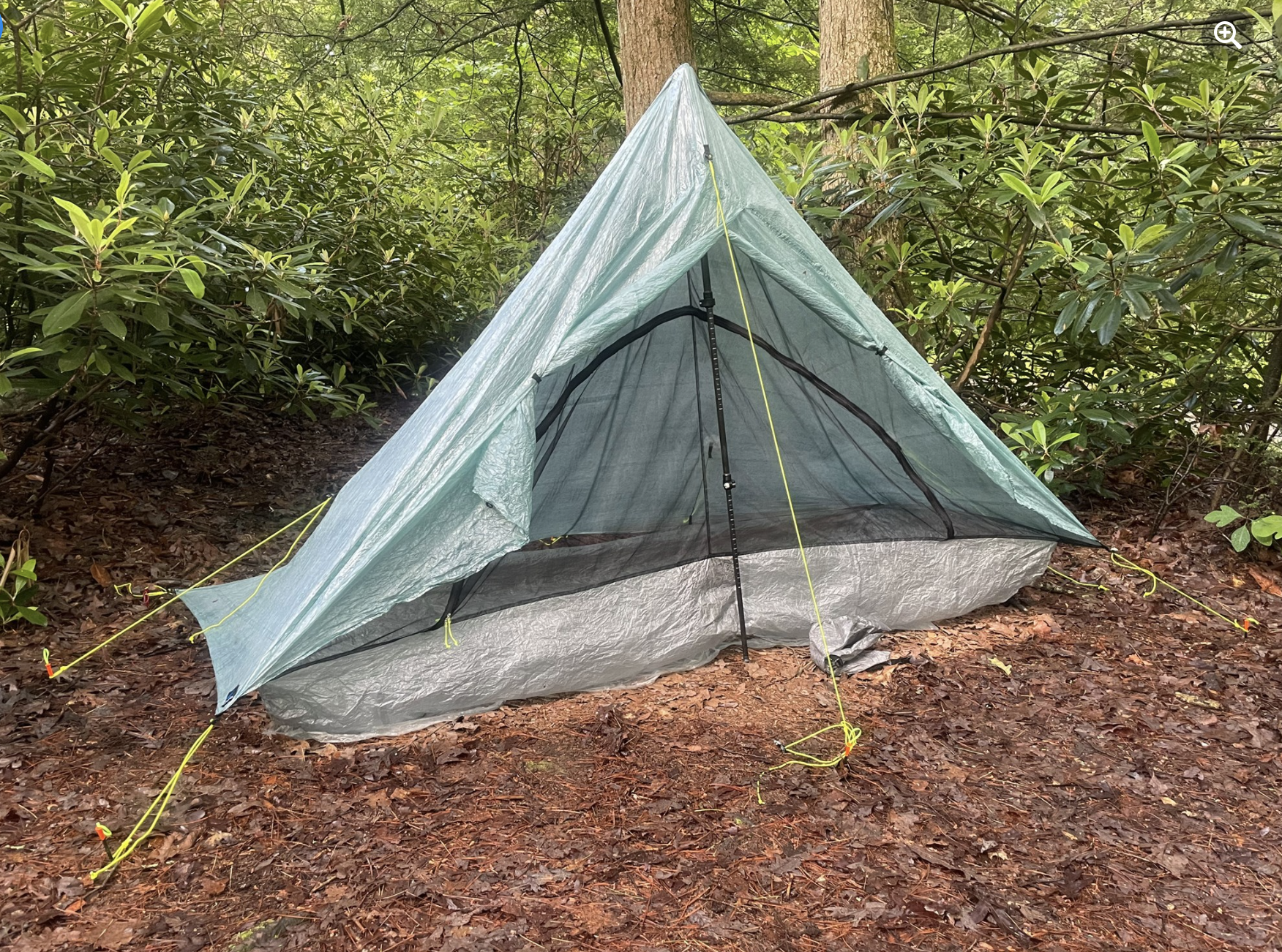 A small, lightweight, blue tent set up in a wooded forest area on a dirt ground covered with leaves and twigs.