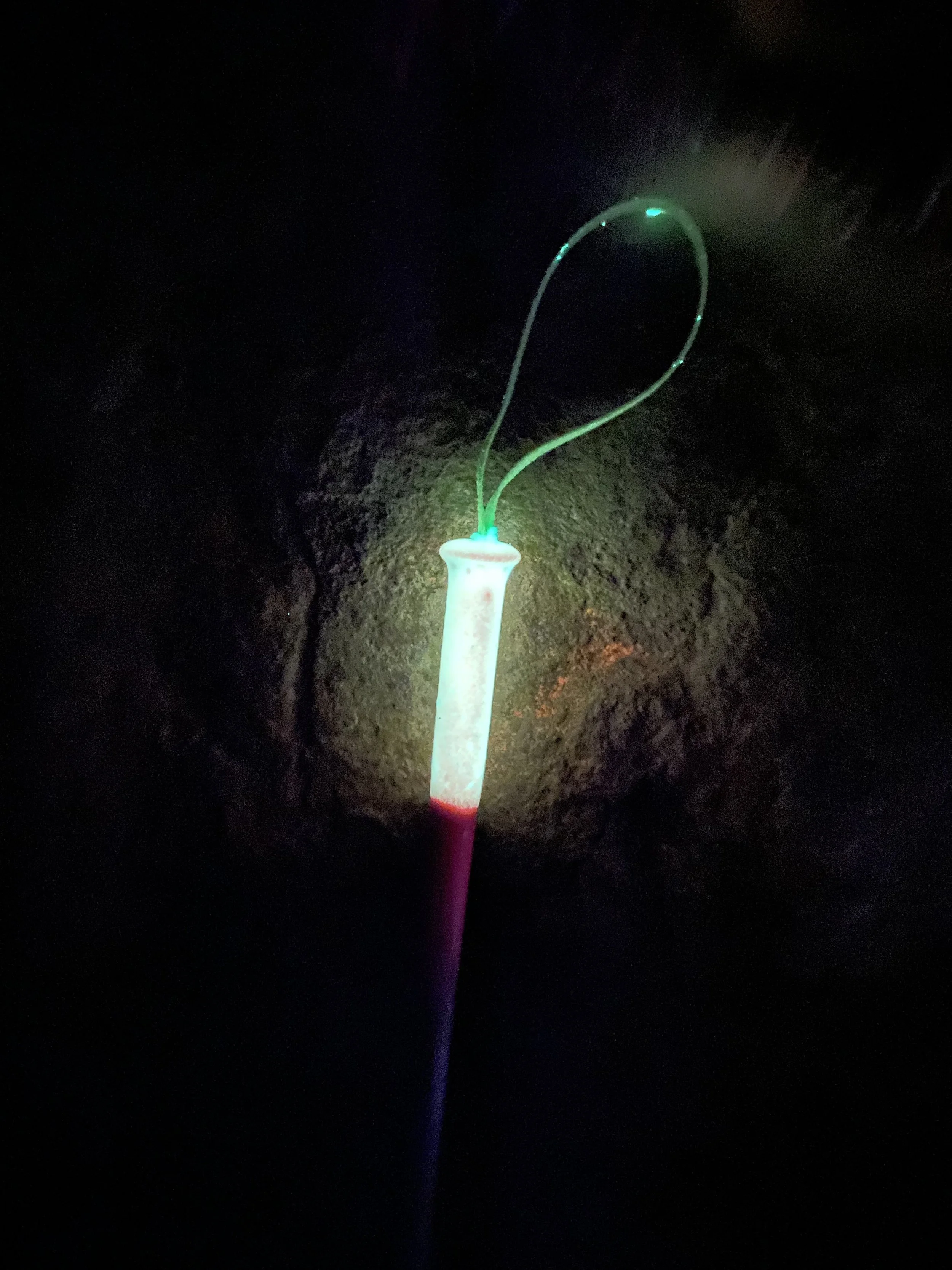 A glowing, elongated object attached to a thin pole, with a dark background and greenish light reflections.