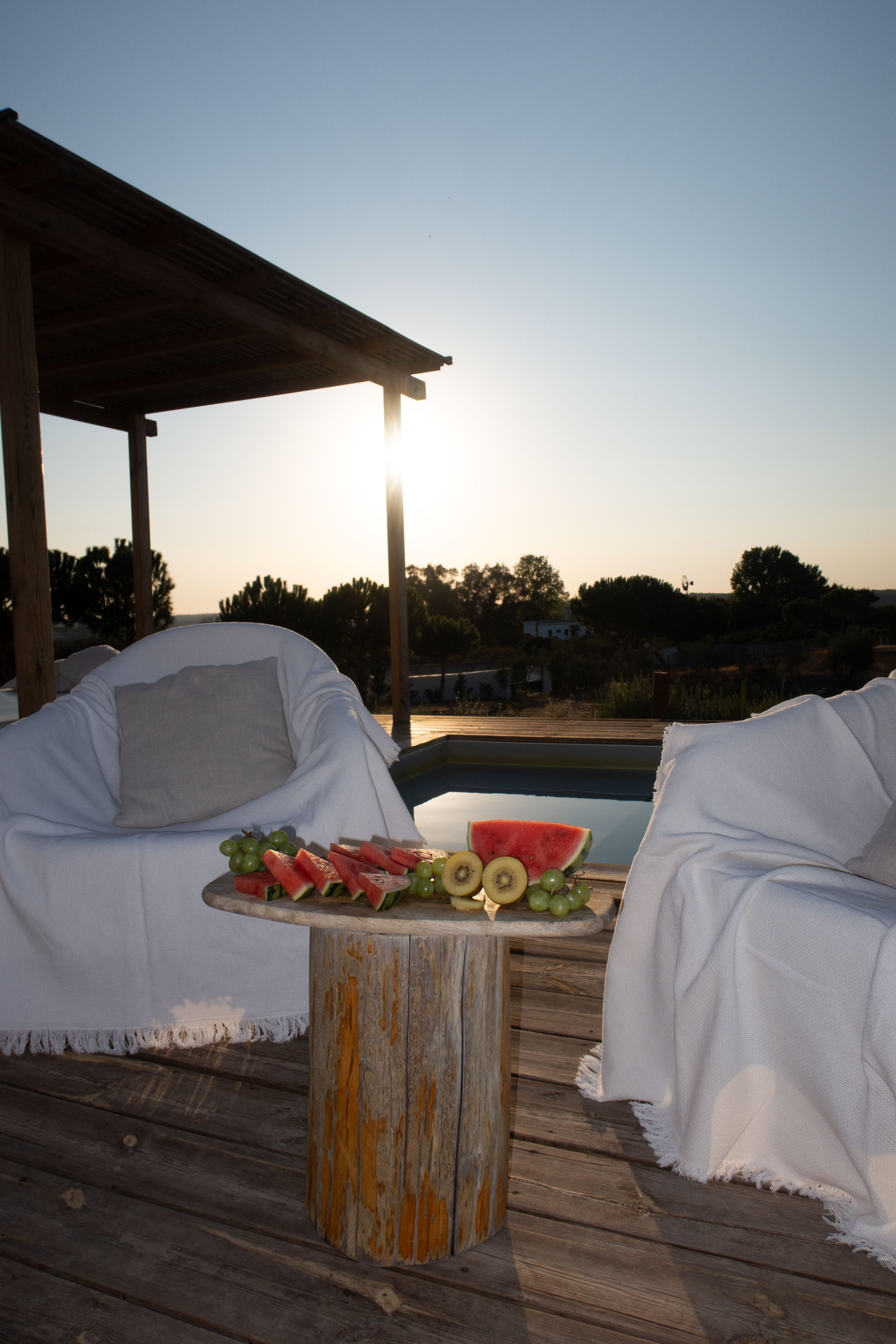 A wooden table with fresh sliced watermelon, kiwi, grapes, and a slice of watermelon on a sunny outdoor balcony with white cloth-covered chairs and a wooden roof, with trees and houses in the background.