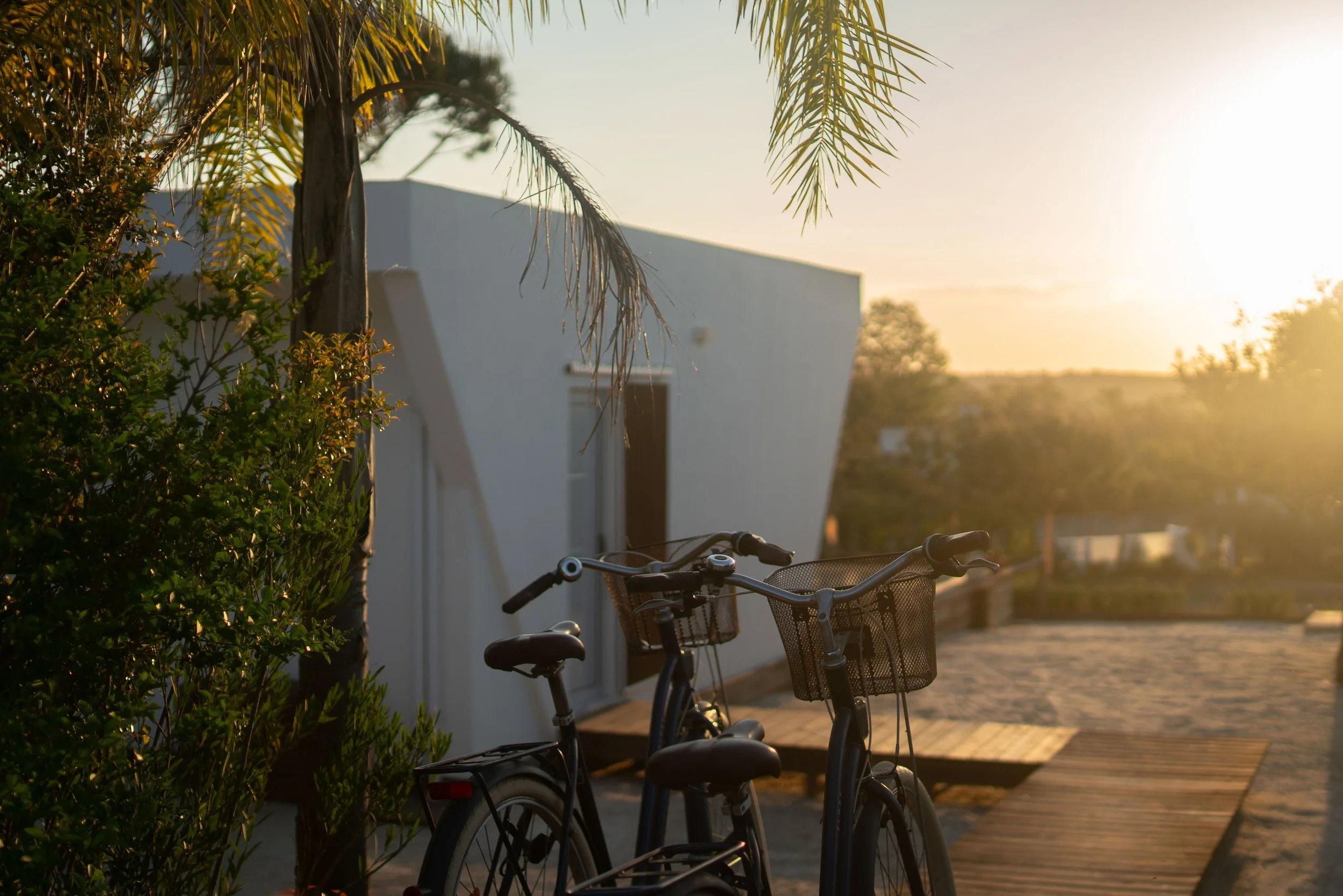 Two bicycles parked on a wooden pathway near a modern white house, with a palm tree and bushes nearby, during sunset.