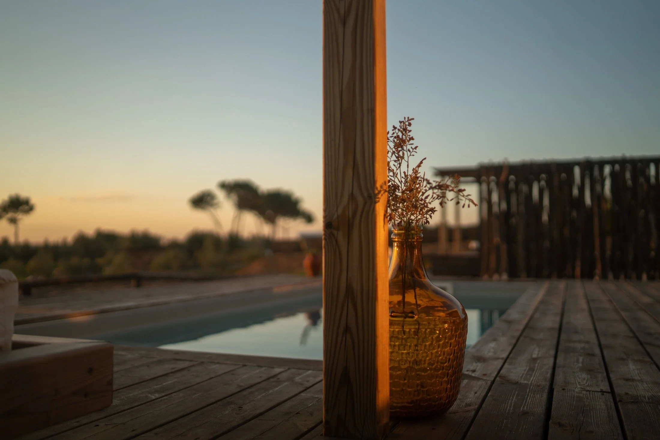 The pool at sunset