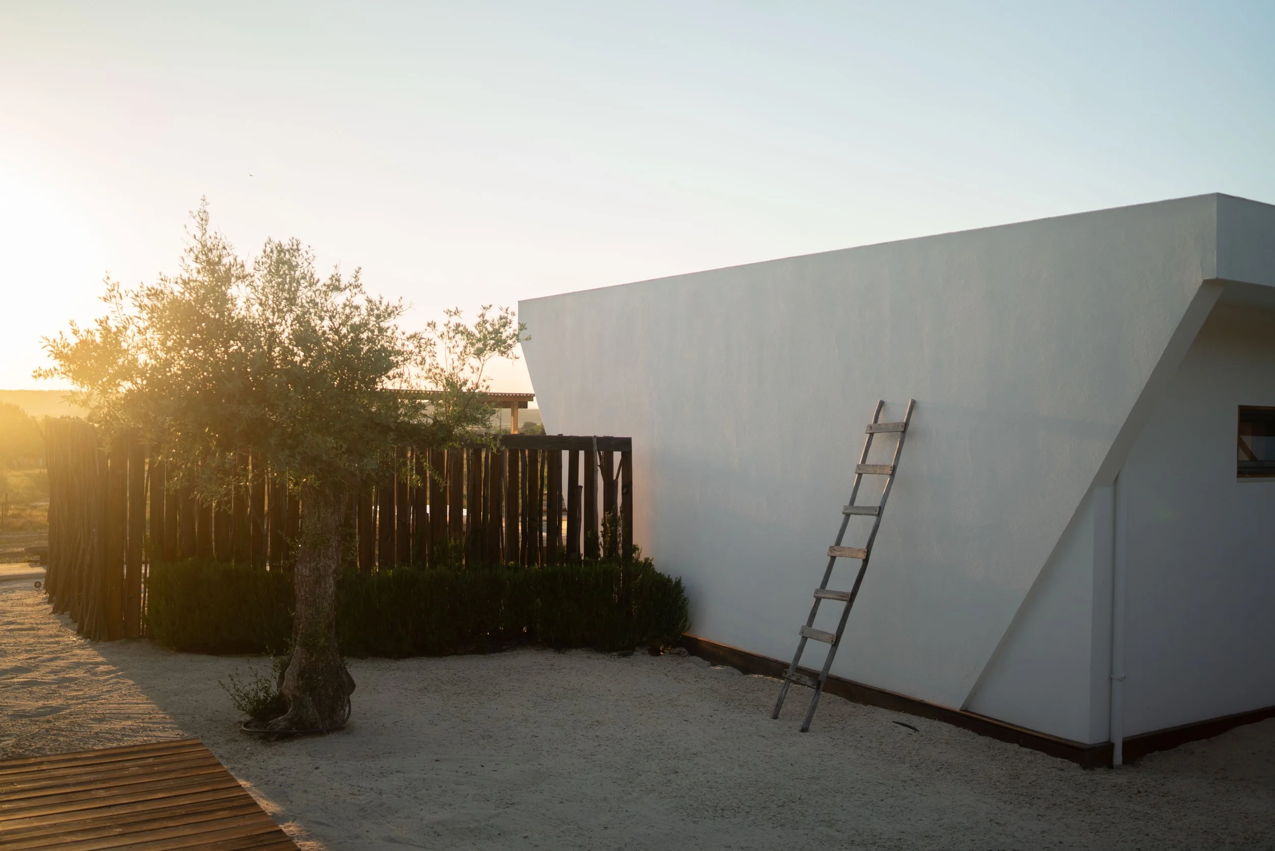 A white modern building with a minimalist design, featuring a ladder leaning against its wall, and a tree casting dappled shadow during sunset.