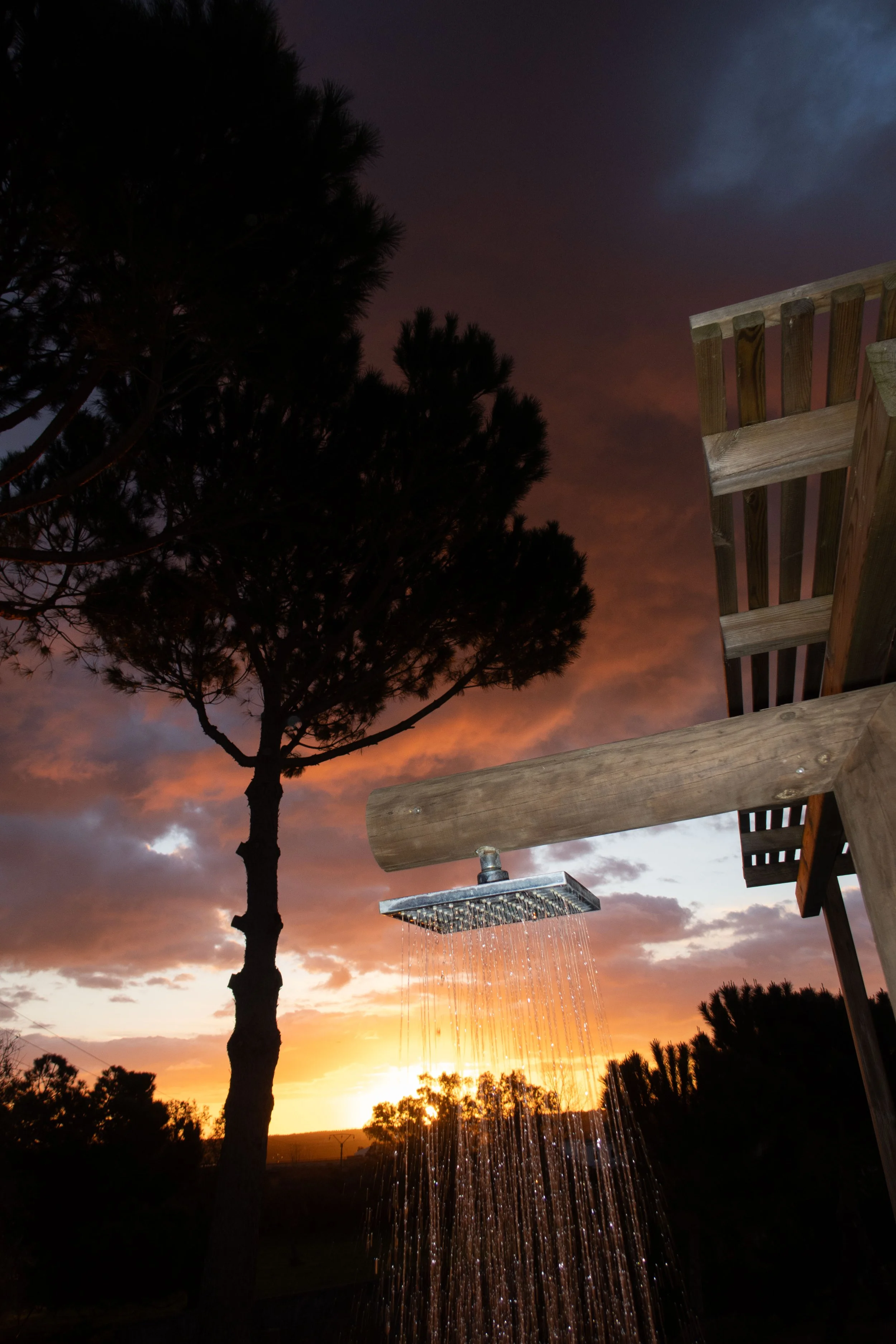 An outdoor shower with water flowing from a rain showerhead at sunset, with a large tree and a colorful sky with clouds.