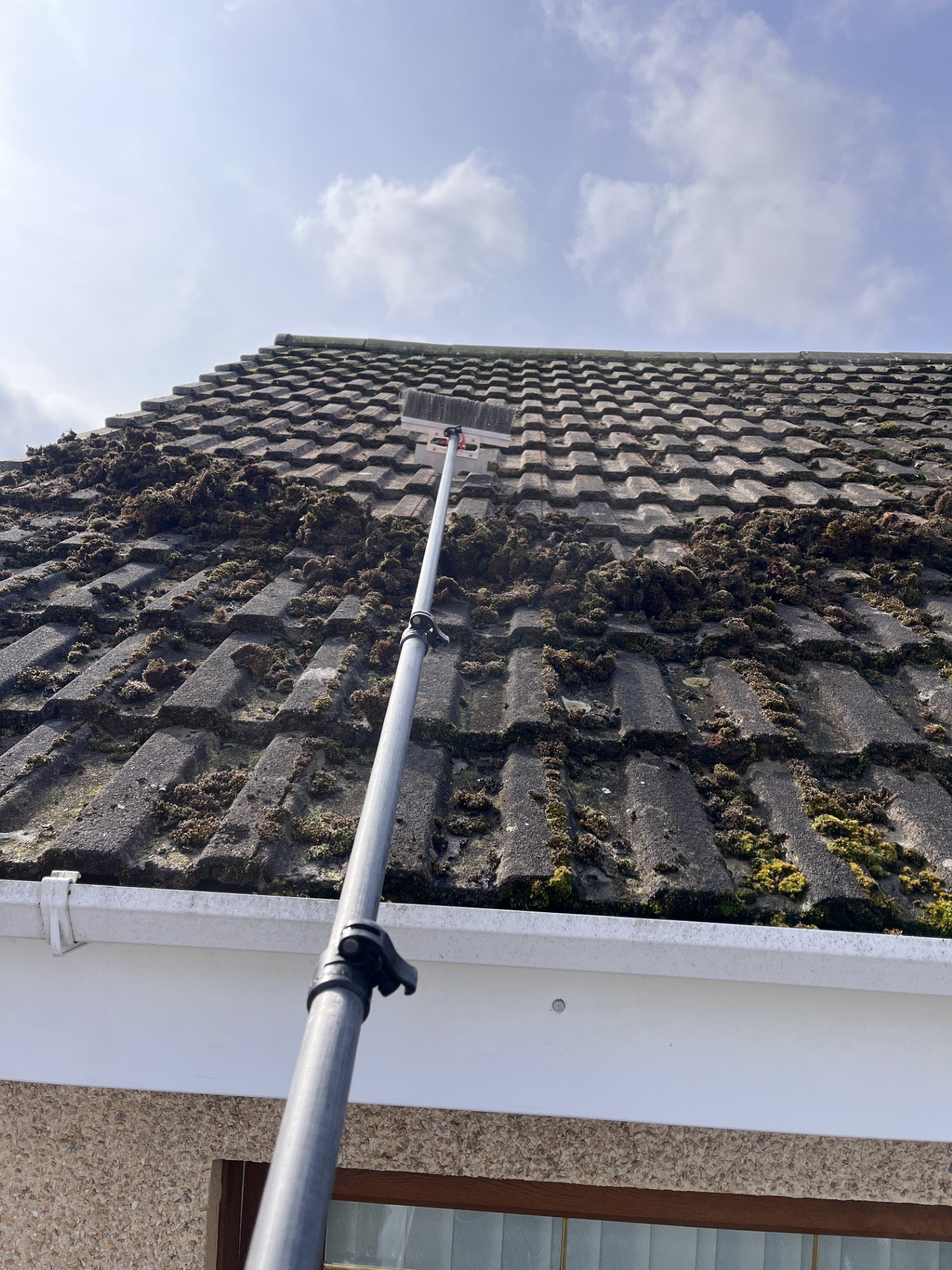 Roof scraping / Moss removal