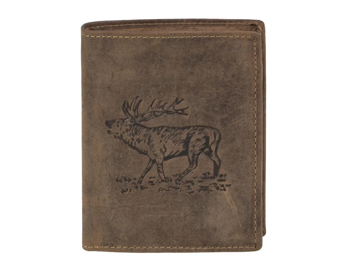 1701 STAG.jpg