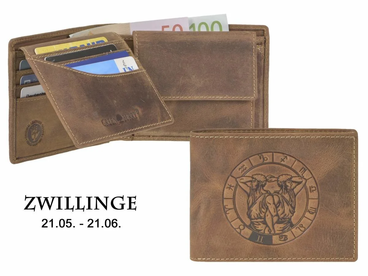 1705 zwillinge.jpg