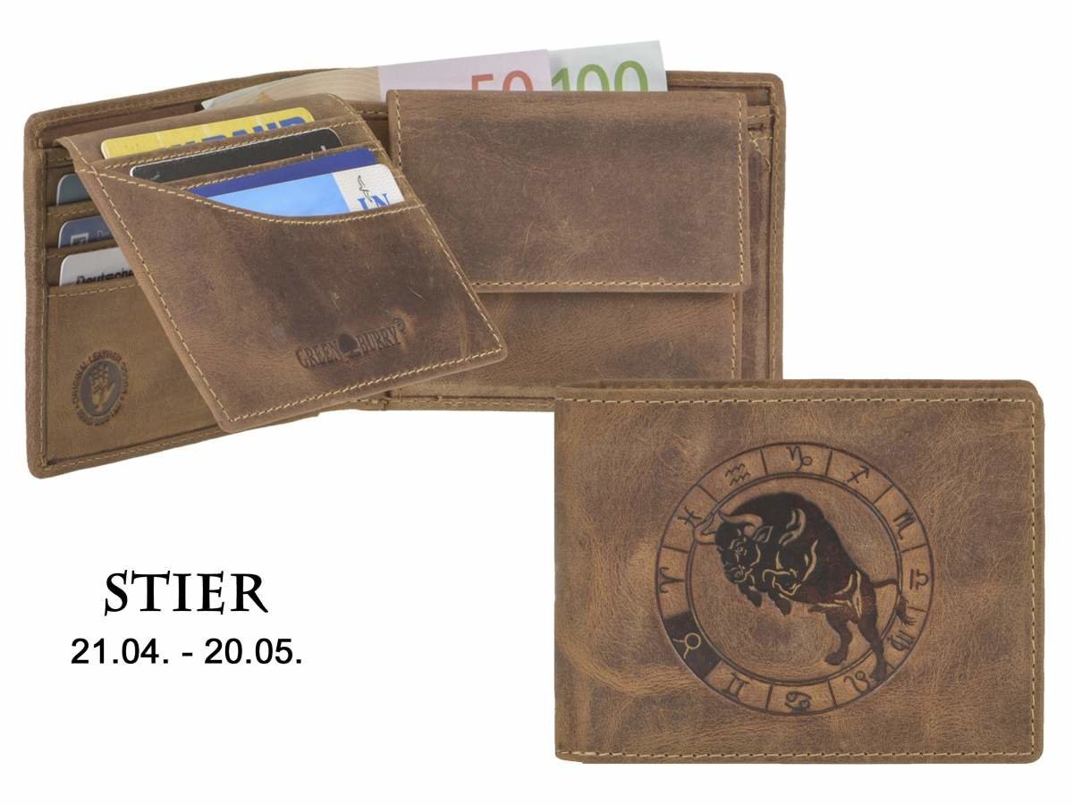 1705 stier.jpg