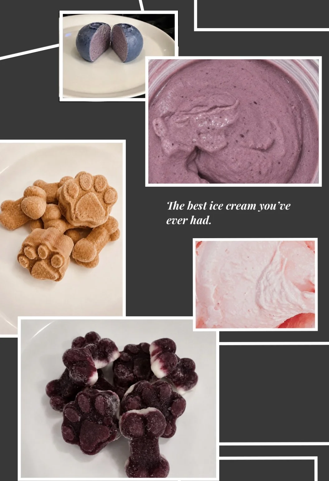 Collage of different frozen treats including purple ice cream, paw-shaped and bone-shaped frozen snacks, berry-flavored ice cream, and a bowl of frozen berries, with a caption that says 'The best ice cream you've ever had.'