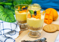 Mango Mousse (8oz)