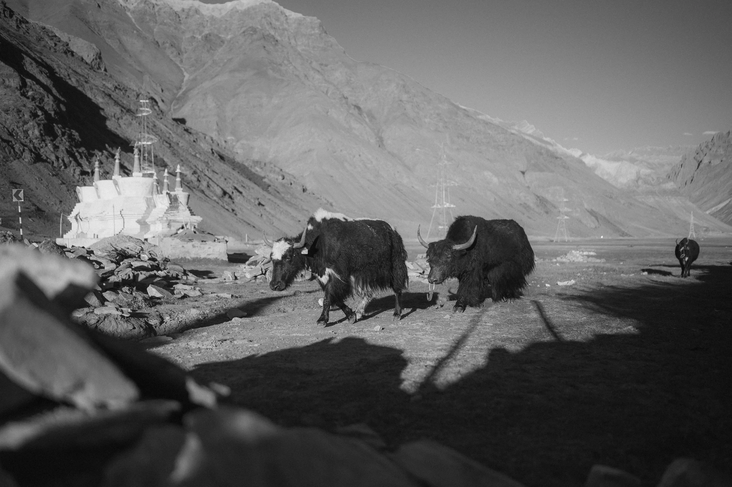 KK6_5869.jpg