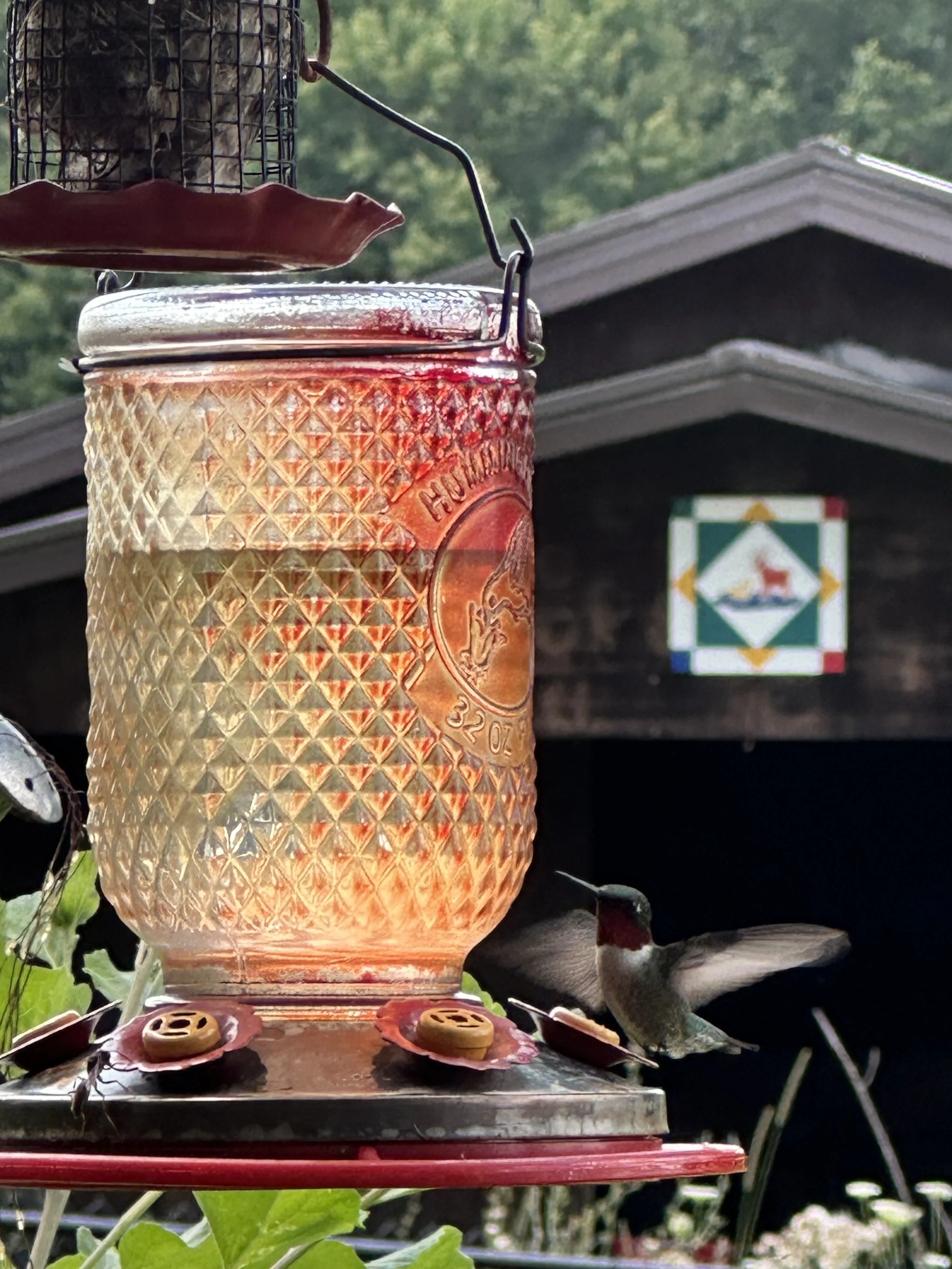 Decorative red glass hummingbird feeder hanging outdoors with a textured surface and a flying hummingbird, surrounded by greenery and a blurred barn with the Puddleduck Farms logo in the background.
