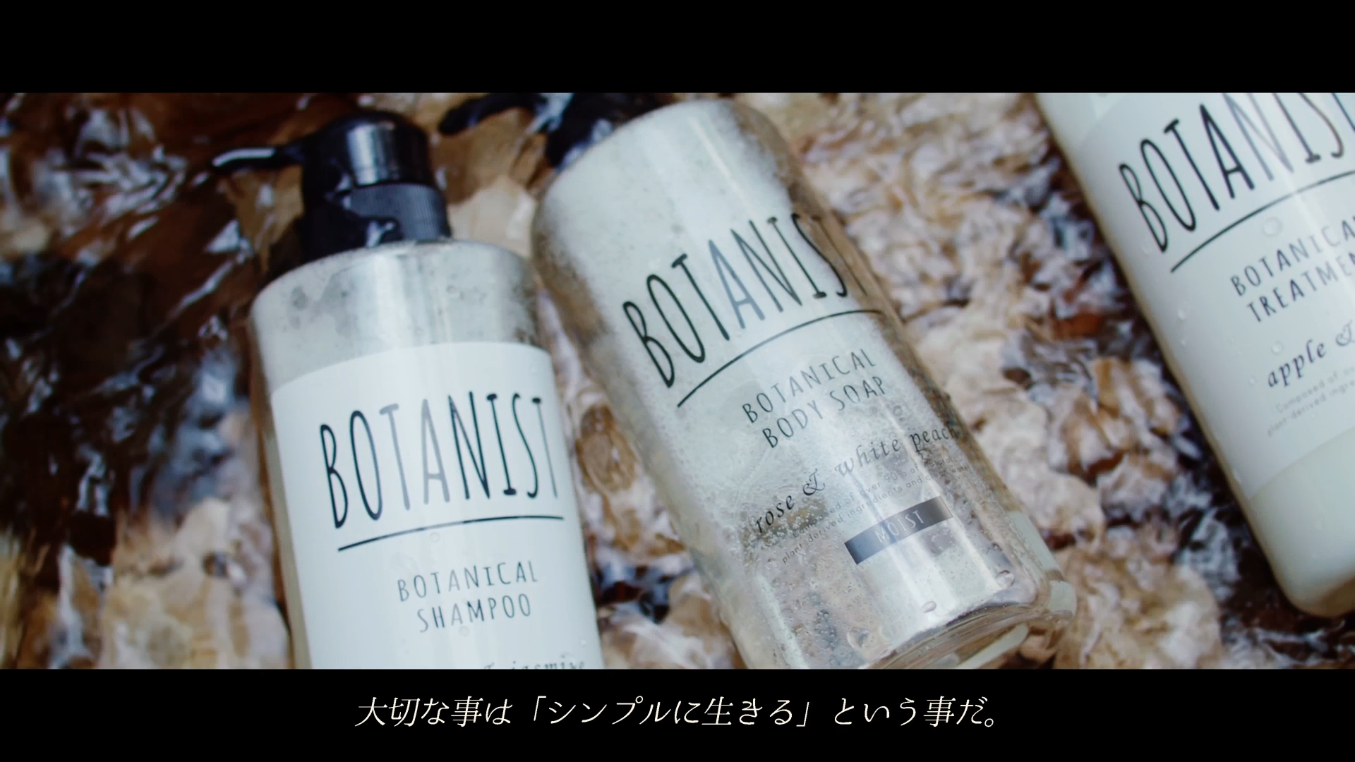 BOTANIST4.png