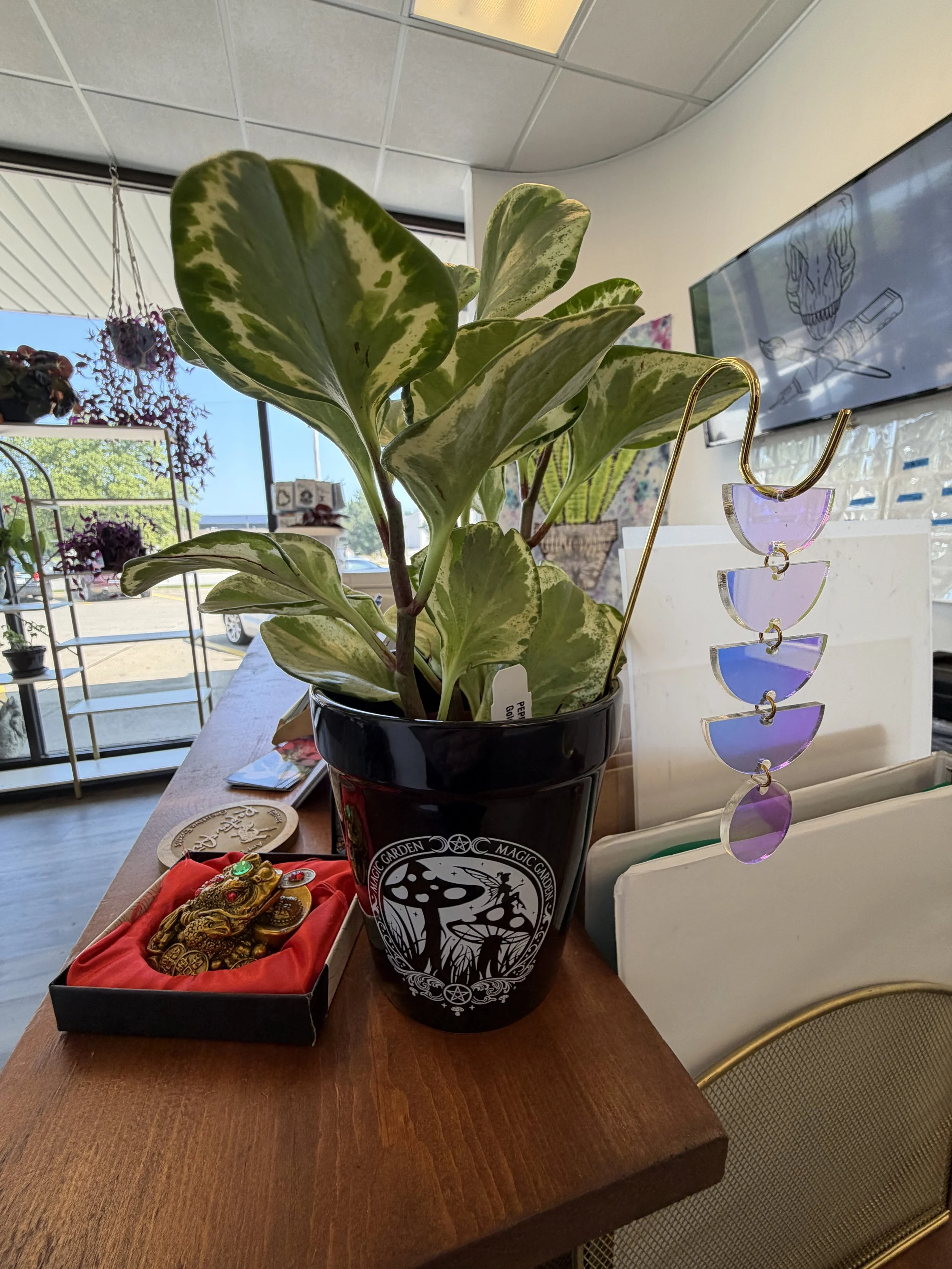 more Plant grace
