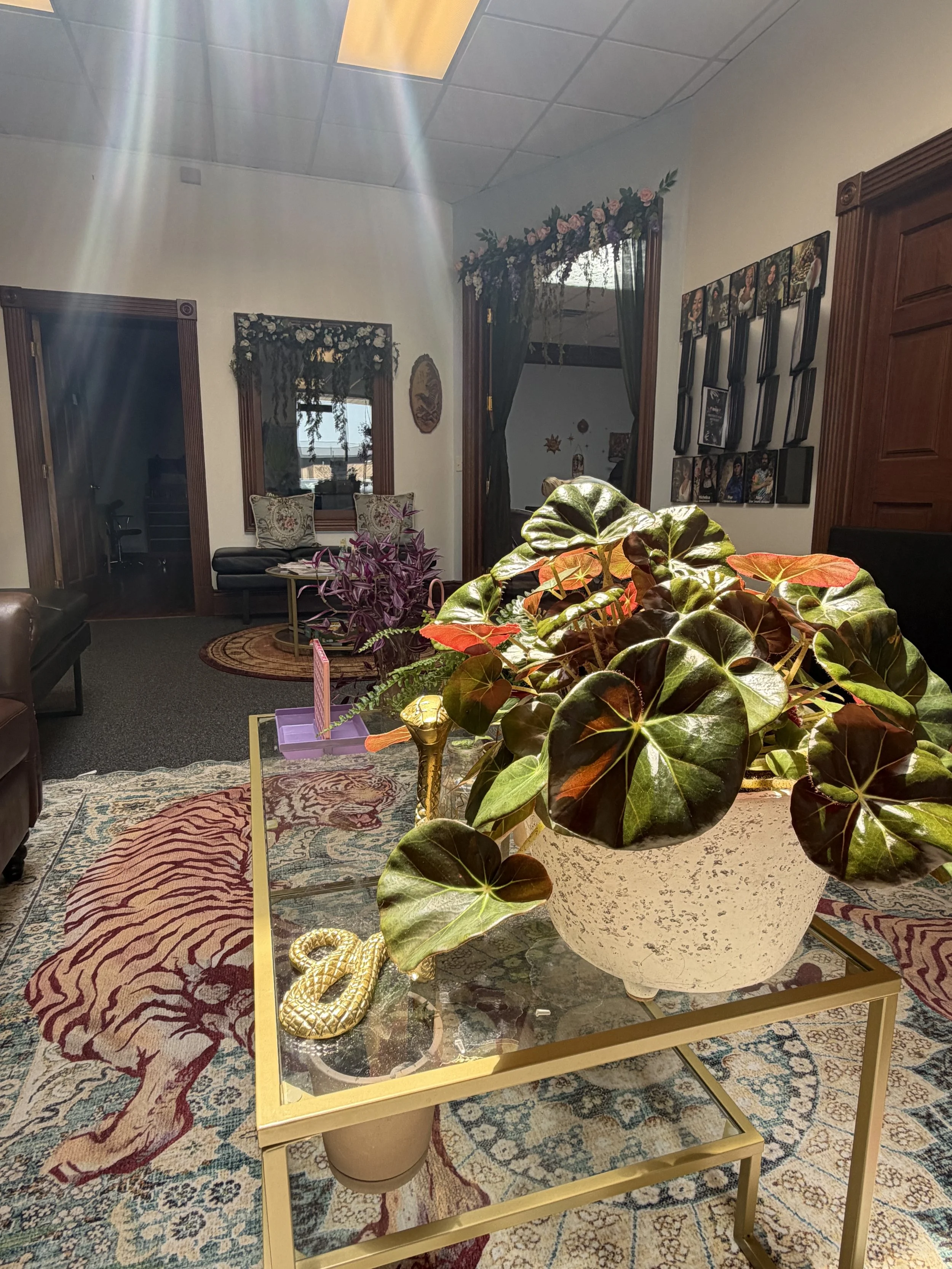 Plants love the natural light from windows & skylights!