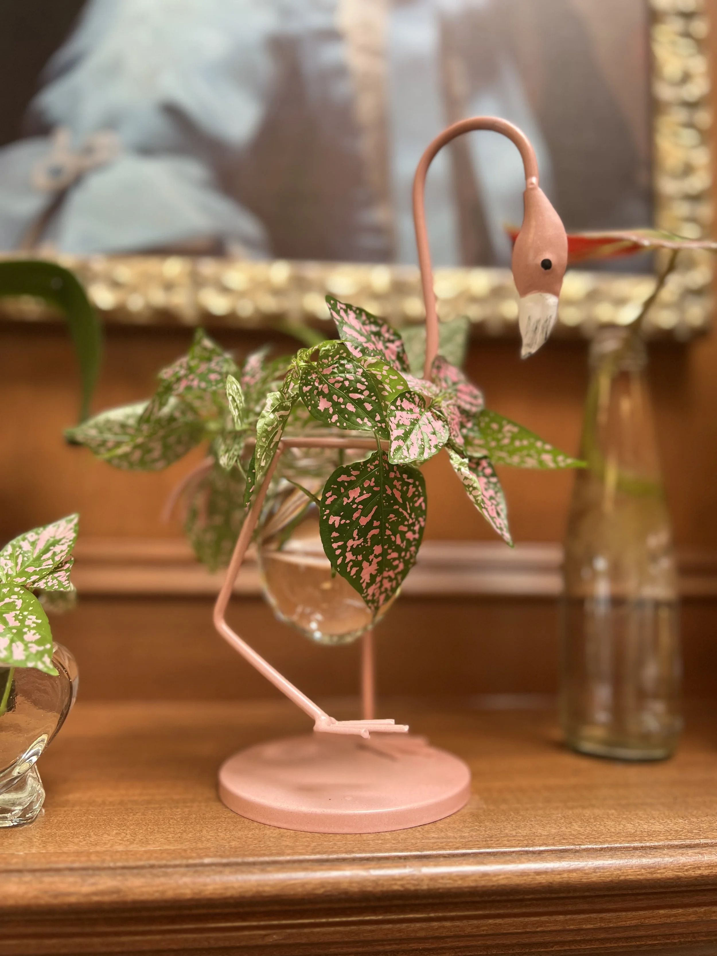 Pretty Fauna and the cutest decor