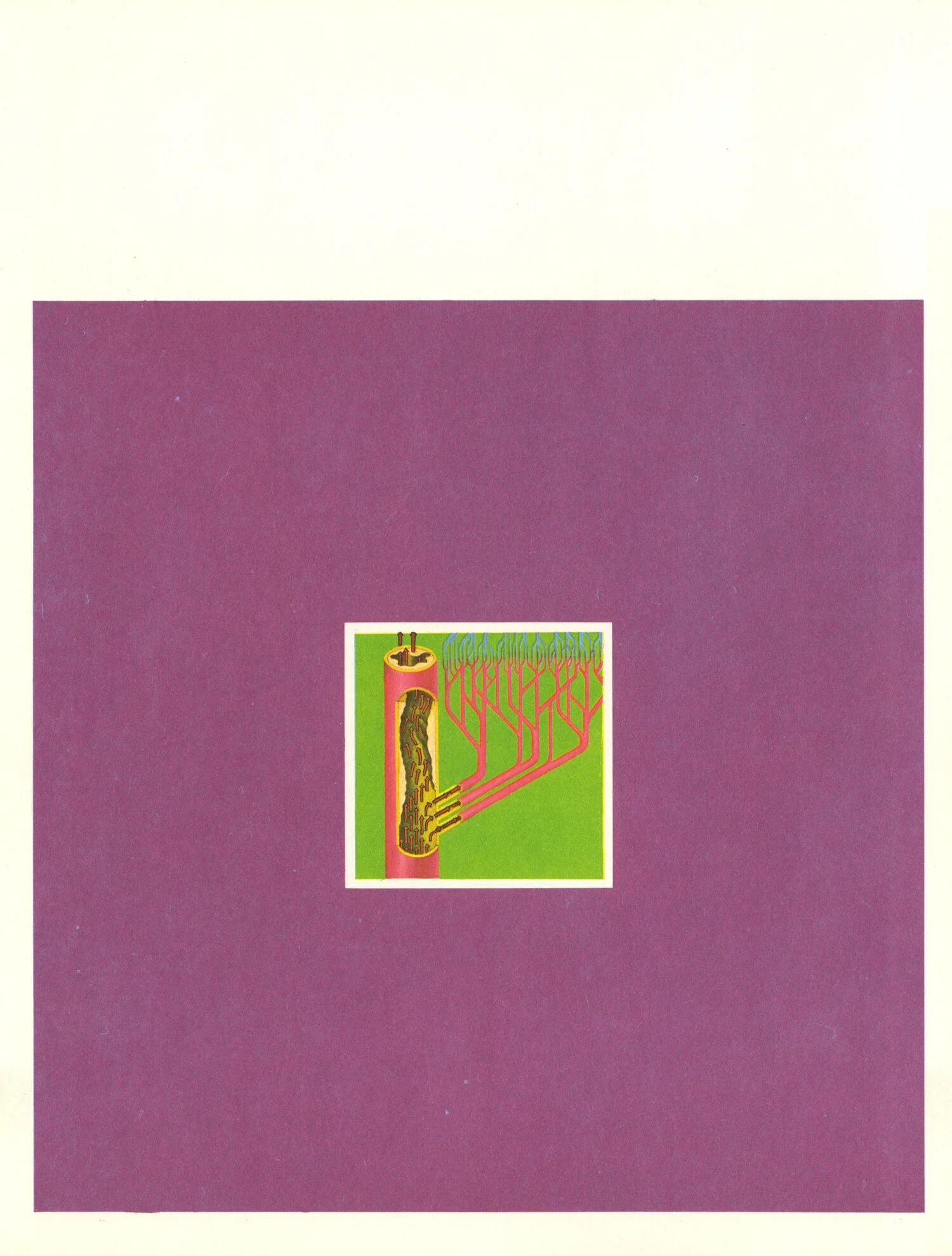Colorful diagram of a tree with roots and branches in a green background, illustrating the concept of growth or connectivity.