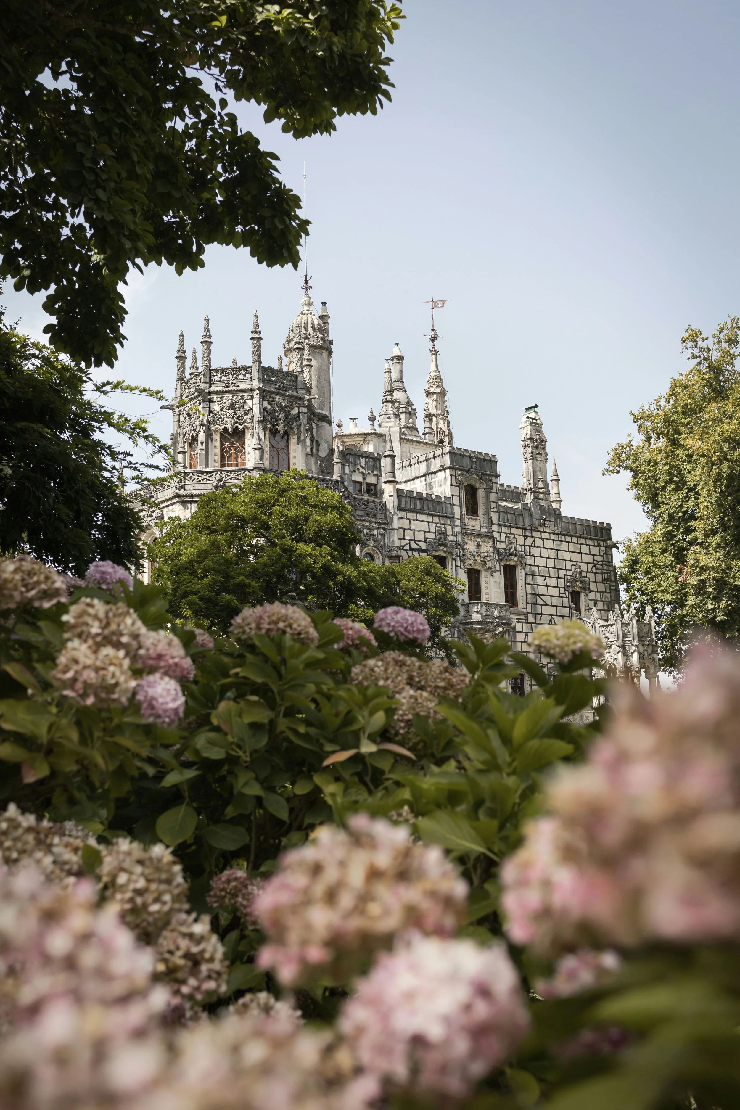 The image shows a historic castle with intricate architectural details, partially obscured by foreground white and pink flowers and green foliage. The sky is clear and blue.