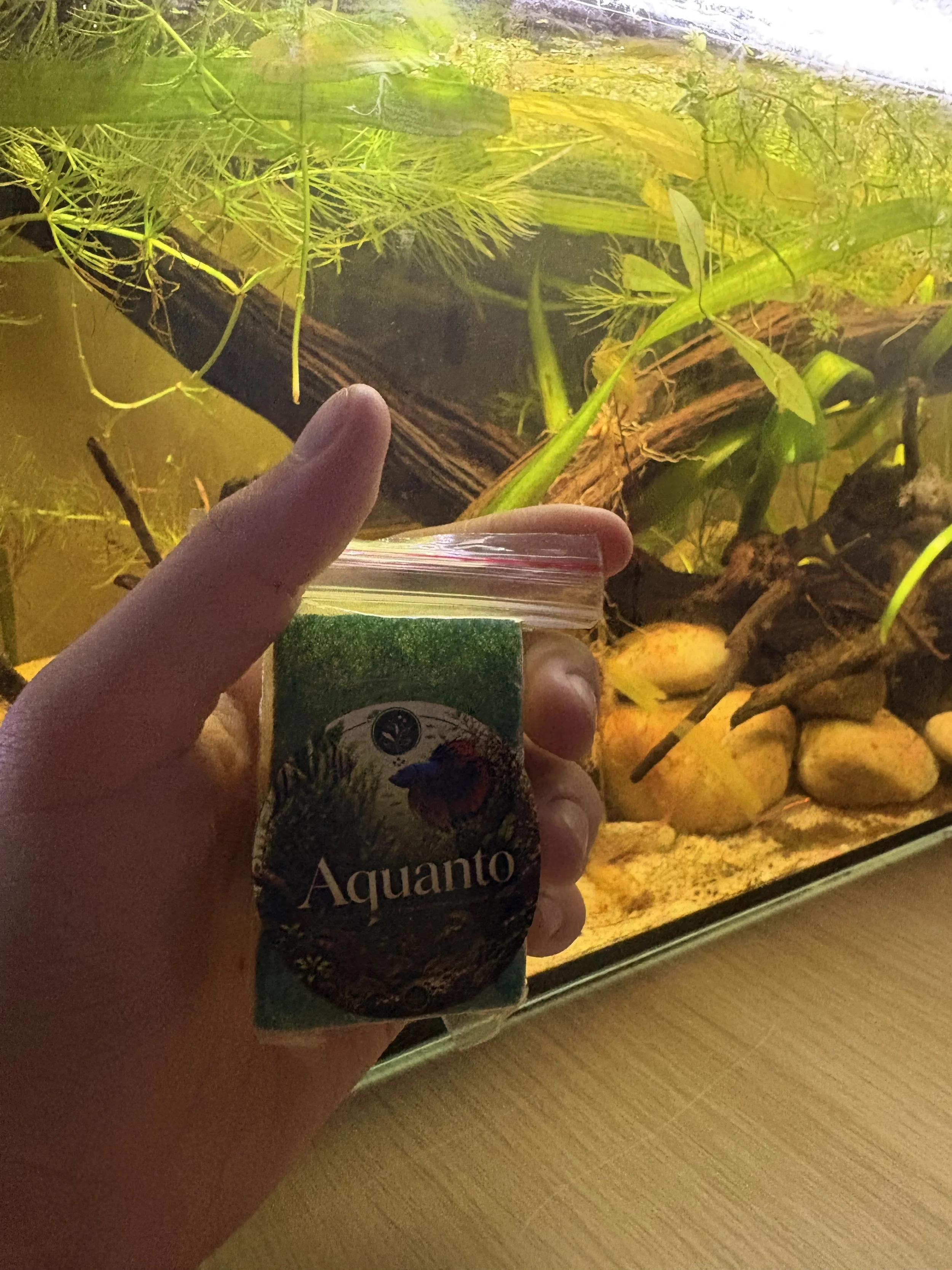 Eponges Spécial Aquario *2 XS