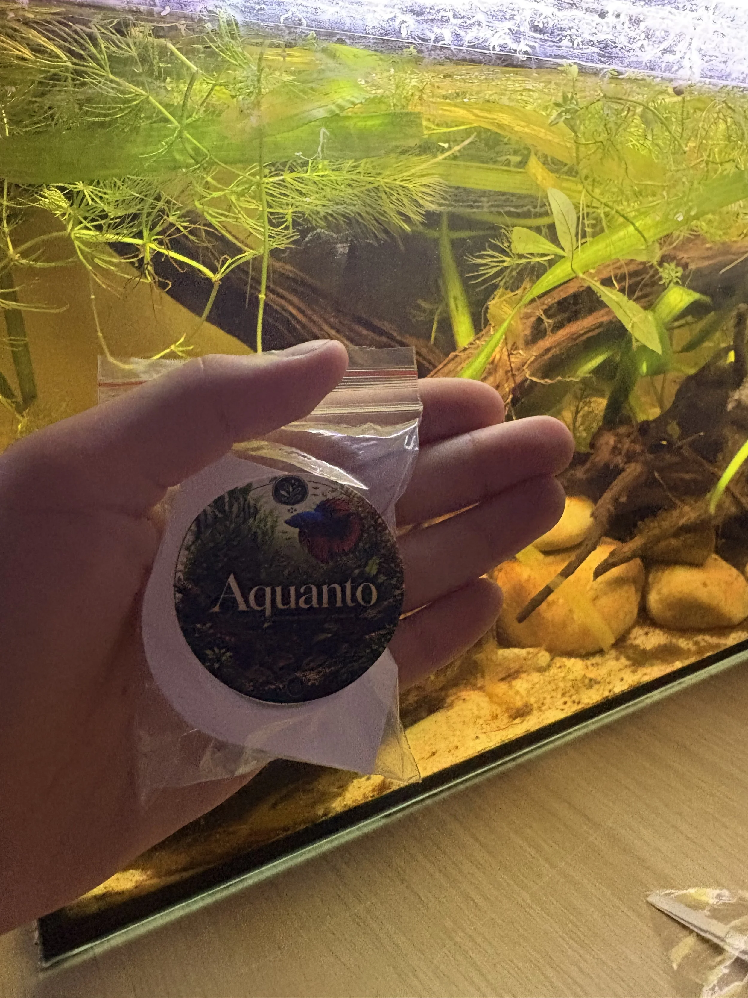 KIT anti évaporation