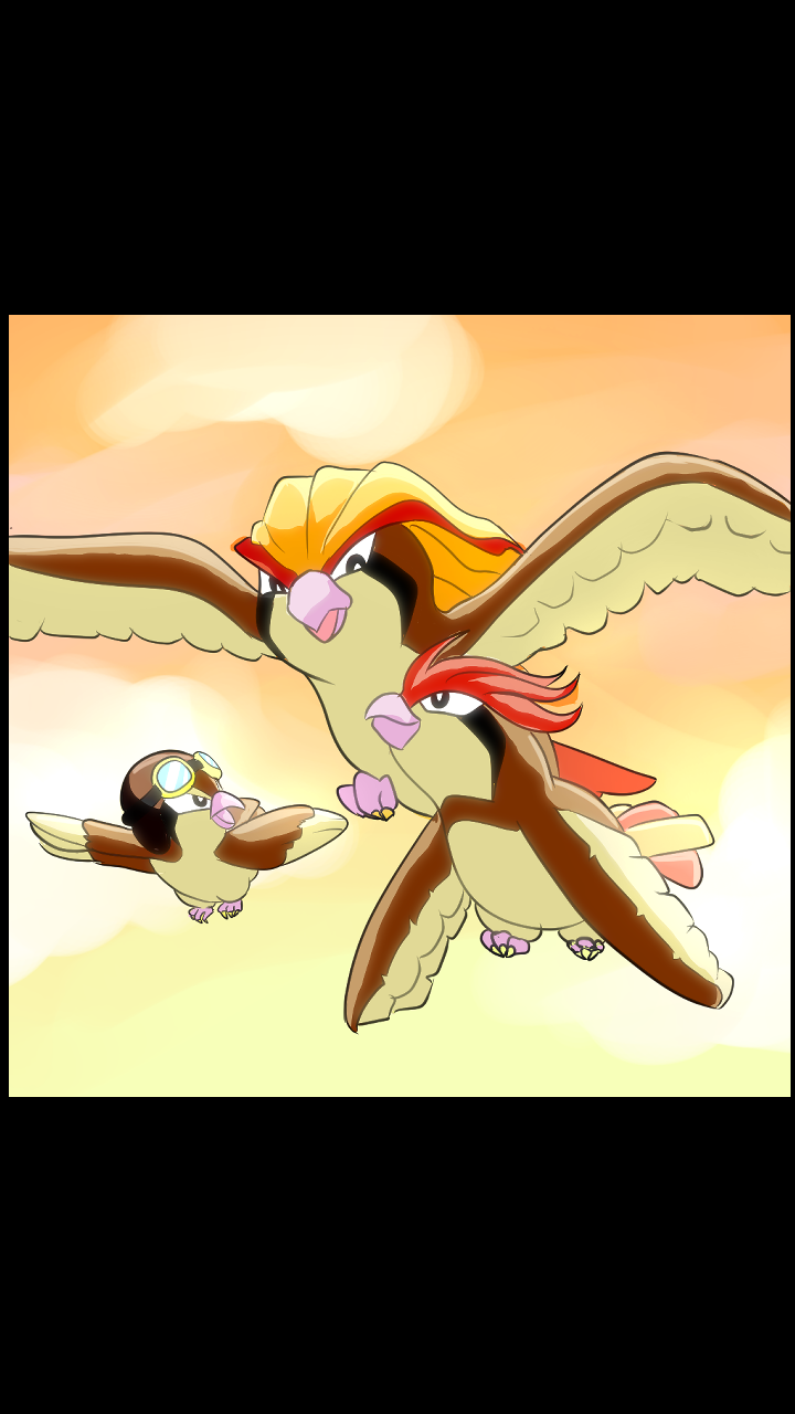 Three animated bird characters flying in the sky during sunset, with large wings and colorful feathers, one wearing glasses.