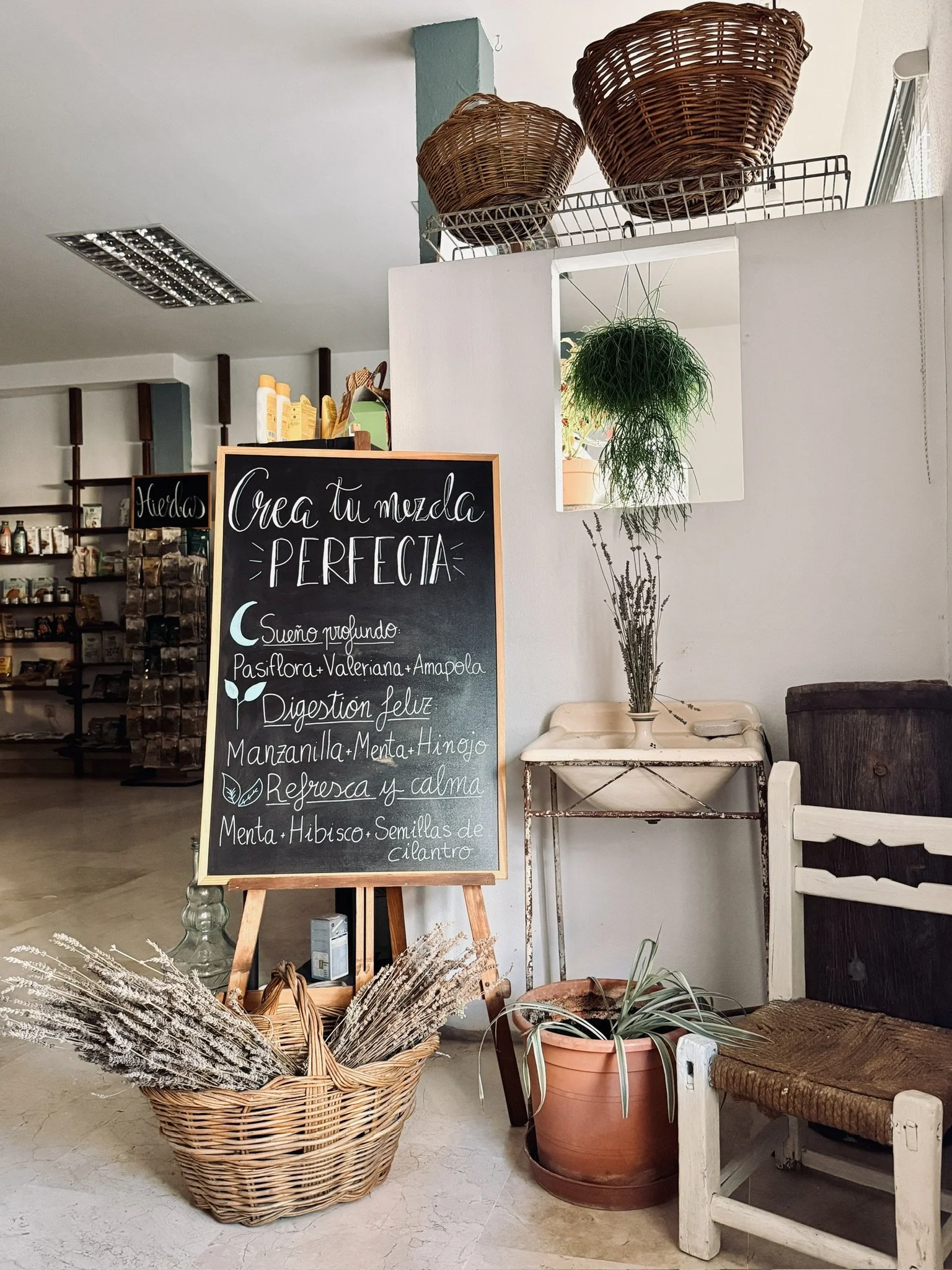 Sección de una tienda con un cartel de bienvenida, plantas decorativas, cestos de mimbre, un asiento de madera con cojín, y estantes con productos, en un ambiente acogedor y natural.