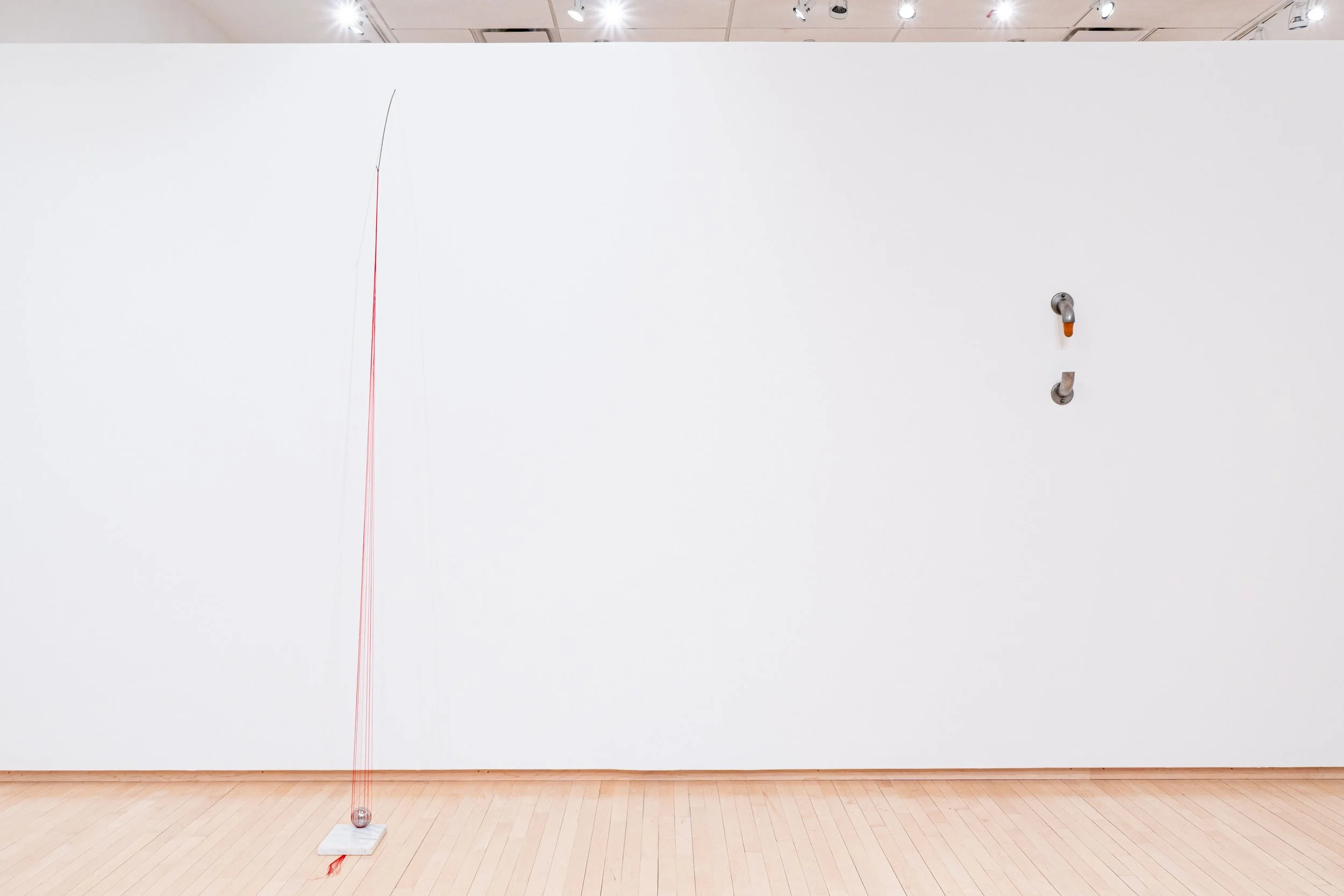 Installation view of  MOONSHOT  (2026). 
 
Image courtesy of Priya Vaswani