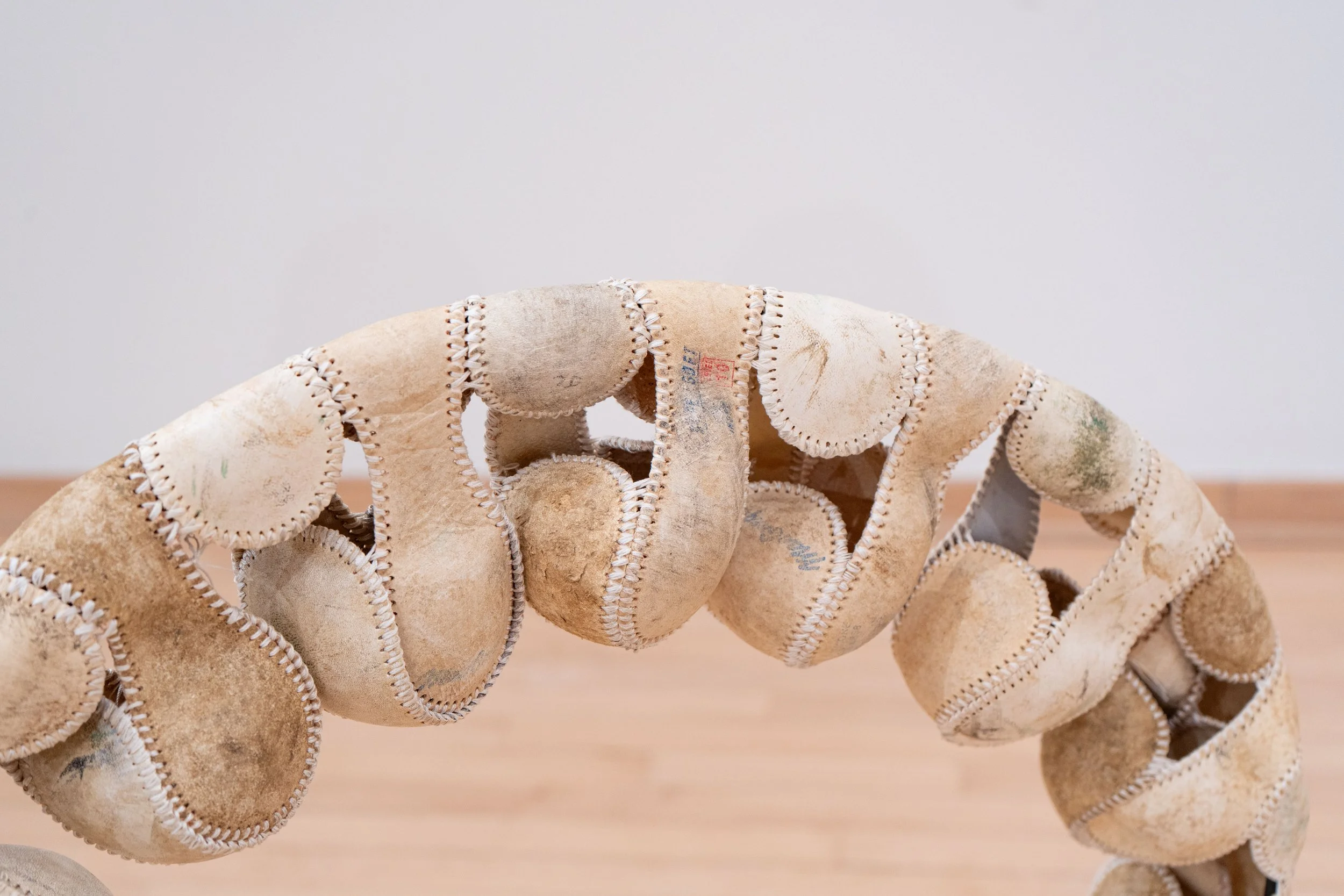   Spine —   Leather, silk, granite, steel, bearing balls, pine rosin, Darth Vader house key
 
Image courtesy of Priya Vaswani