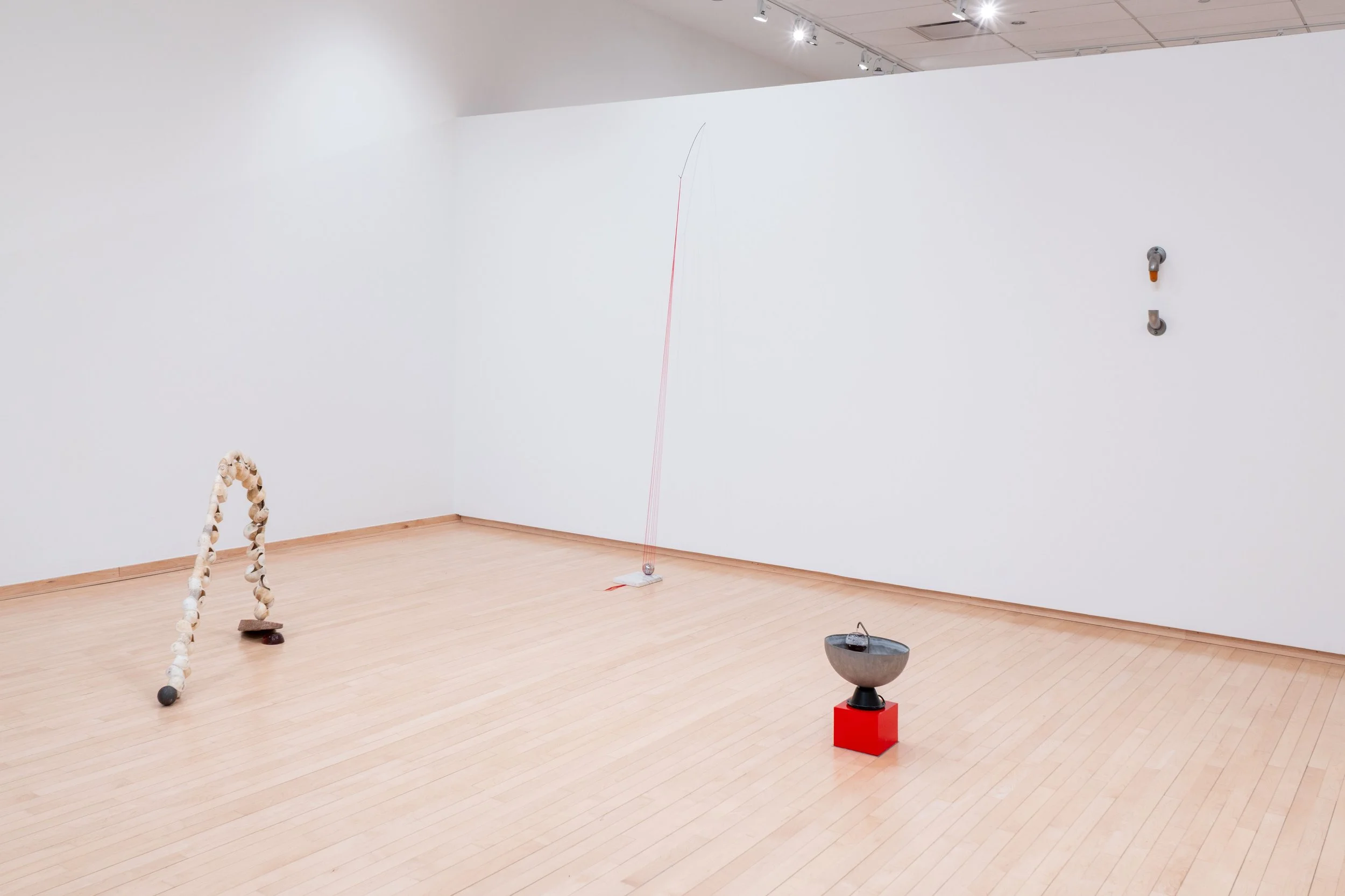 Installation view of  MOONSHOT  (2026). 
 
Image courtesy of Priya Vaswani