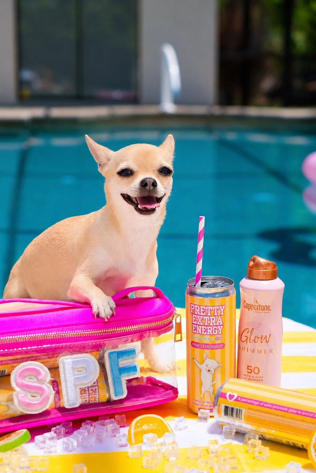 A small tan Chihuahua dog sitting inside a pink bag by a swimming pool, surrounded by colorful summer items such as a pink and white straw, a can labeled 'Pretty Extra Energy,' a pink shimmer sunscreen bottle labeled 'Glow,' and decorative letters spelling 'SPLASH,' with ice cubes and lemon slices on a yellow towel nearby.