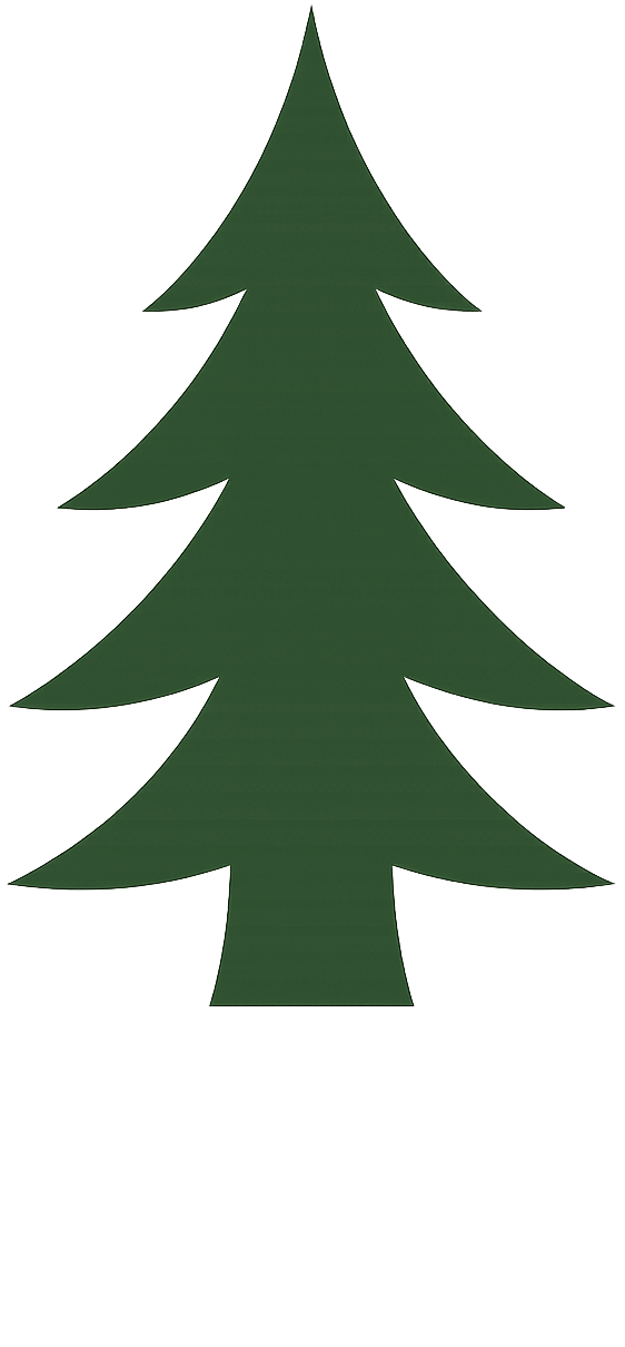 A stylized, simplified illustration of a green pine tree with pointy branches on a black background.