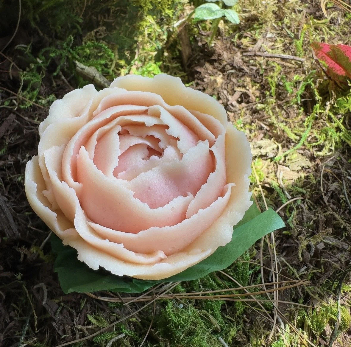 Curiosa floral 3.jpg
