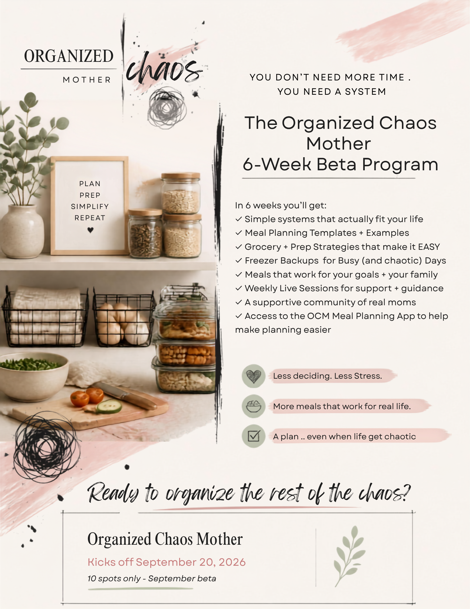 Organized Chaos Program Flyer.png