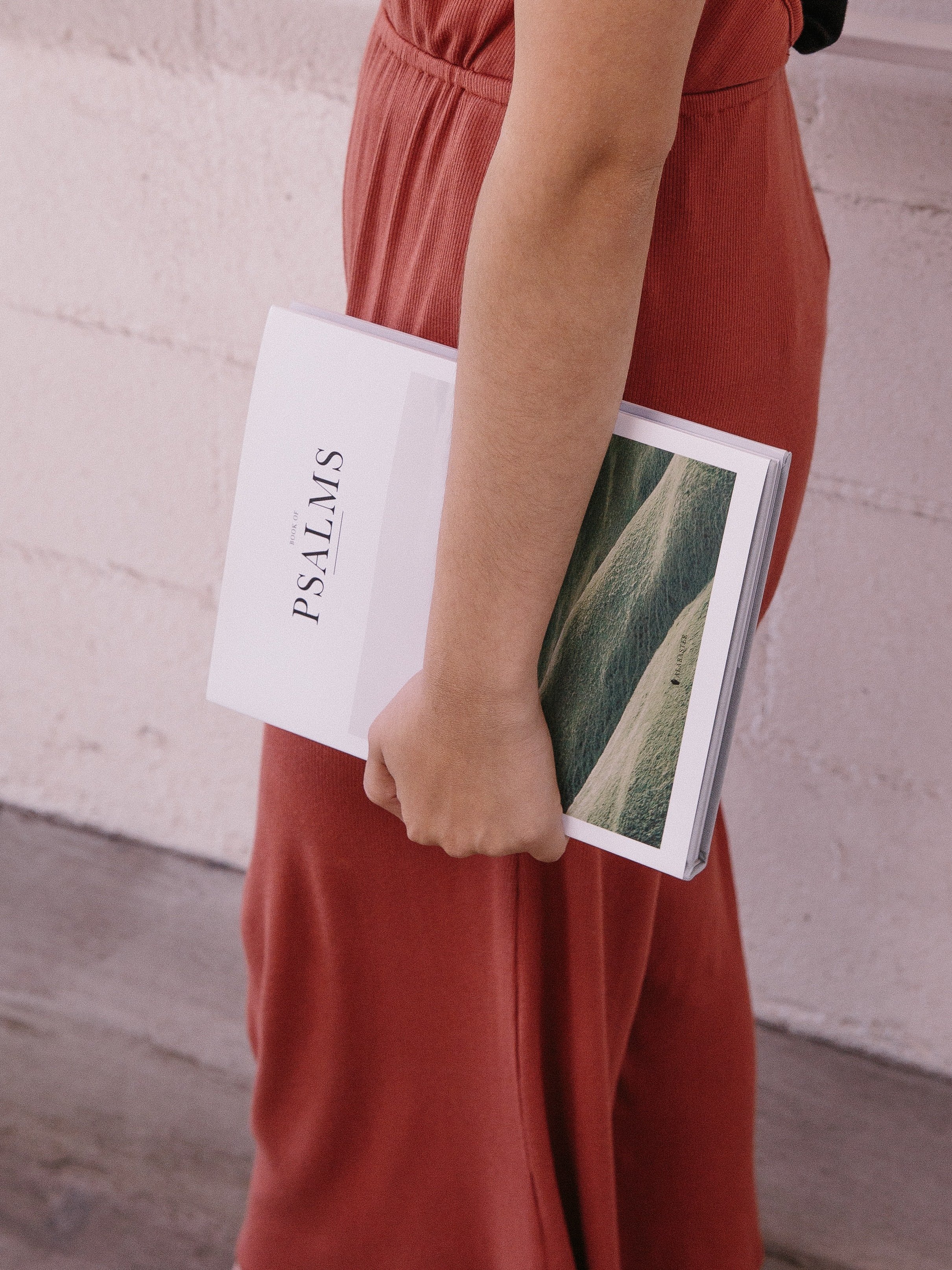 A person in a rust-colored skirt holds a magazine or book with a landscape photo on its cover, standing against a light pink brick wall.