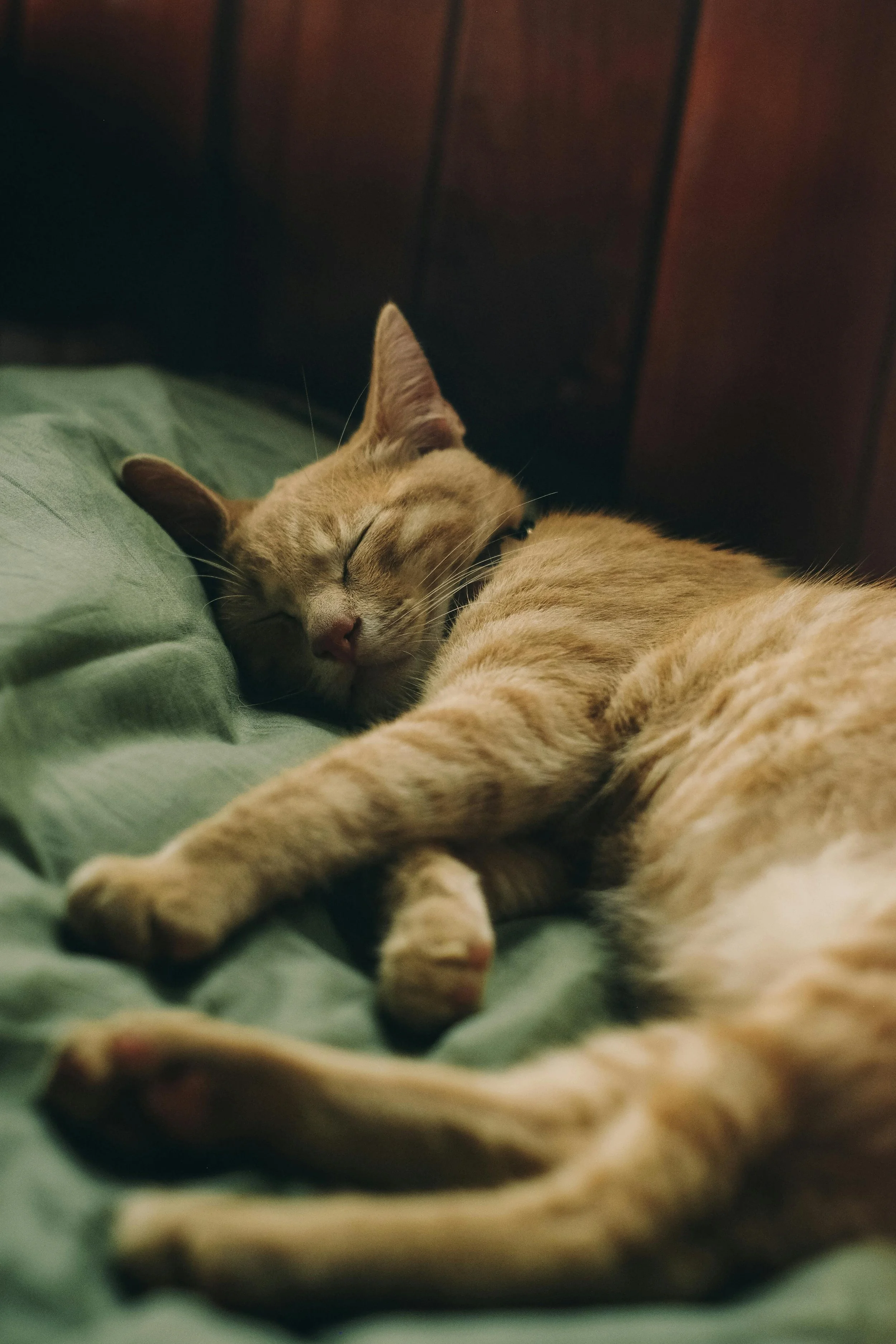 Badan Letih Walaupun Tidur Cukup? Ini Antara Puncanya
