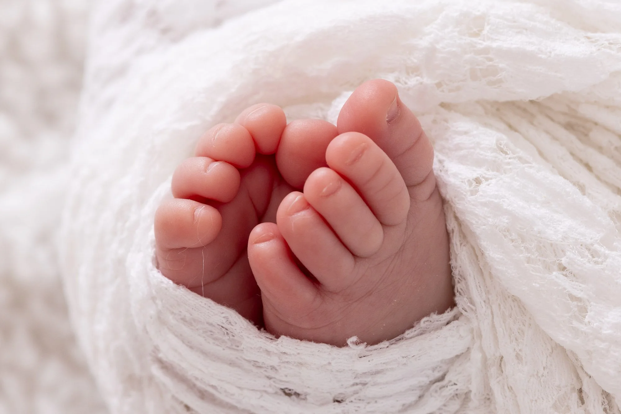 Close-up of a baby's feet wrapped in a soft, white, textured blanket.
