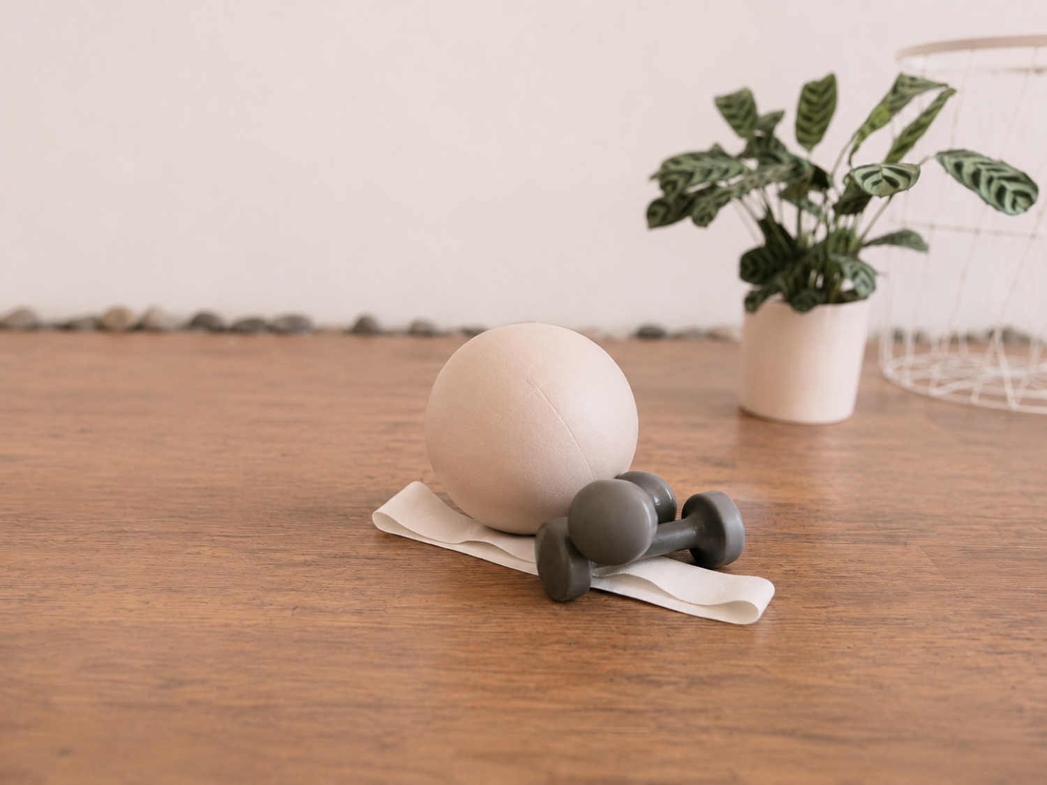 Ein Pilates Ball, ein kleines Hantelset und ein Gymnastikband auf einem Holzboden, im Hintergrund ein Topfpflanze und ein weißes Körbchen.