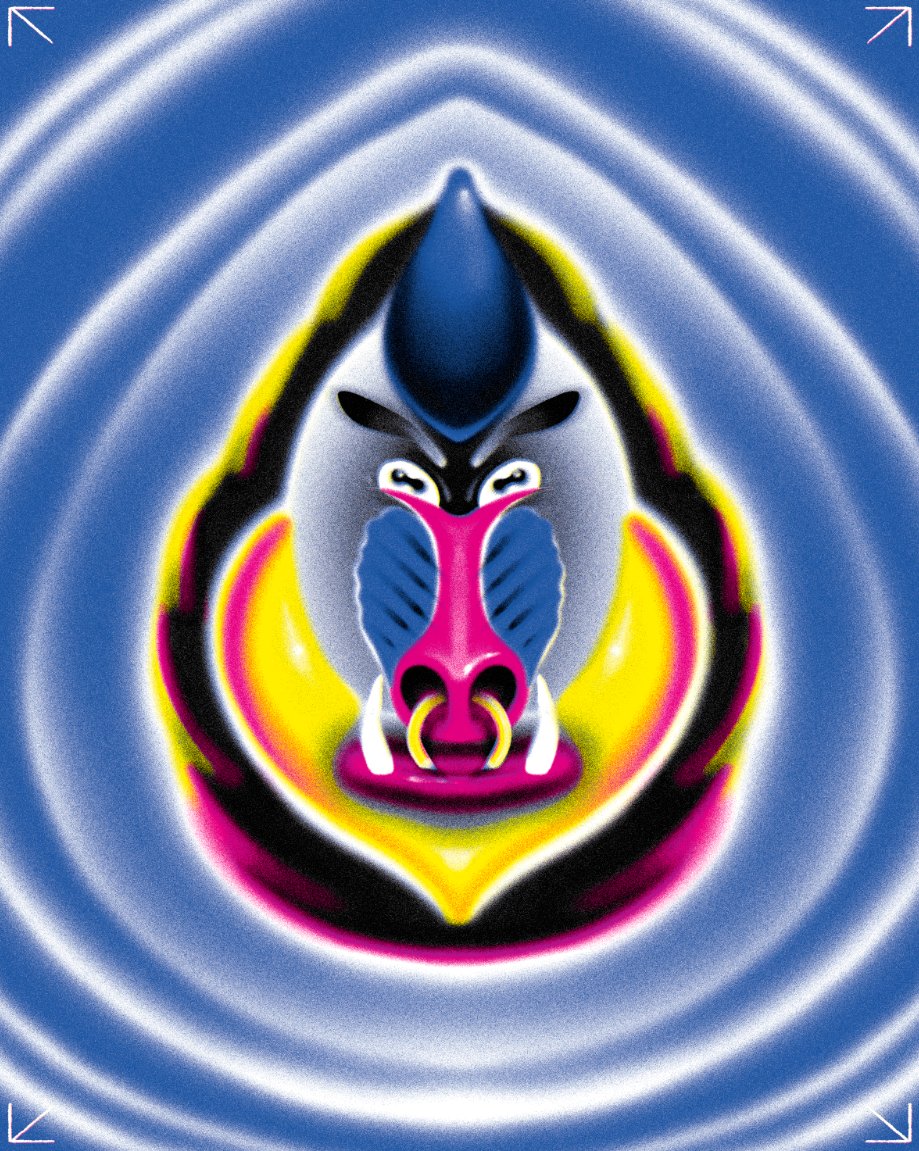 A colorful, stylized representation of a boar's face with neon-like glowing outlines and symmetrical design, featuring blue, pink, yellow, black, and white colors against a blue rippling background.
