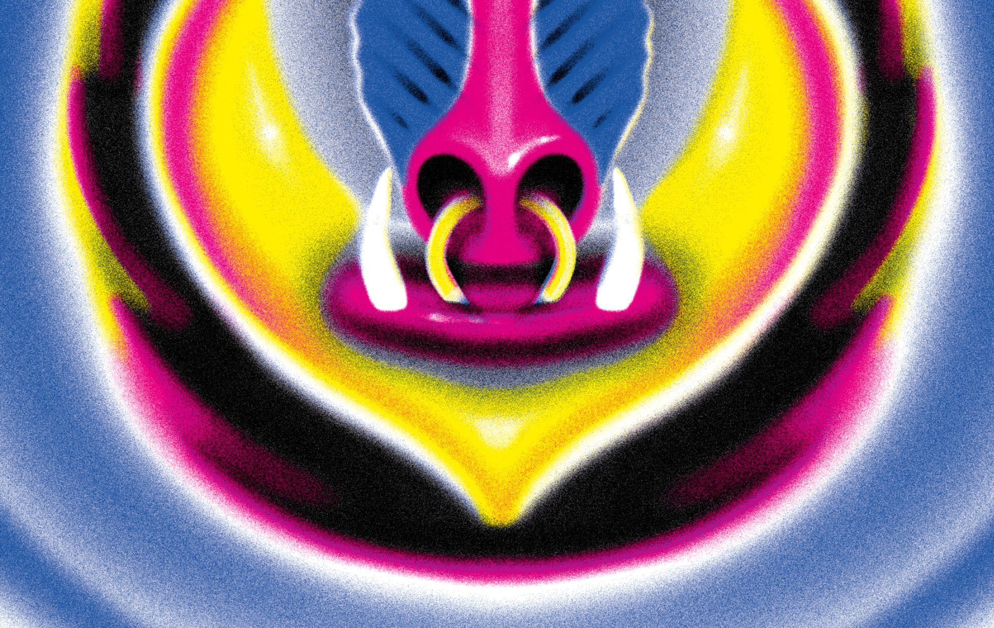 Close-up of a colorful, stylized face of a creature or mask with a pink nose, white tusks, dark eyes, and a rainbow-colored background.