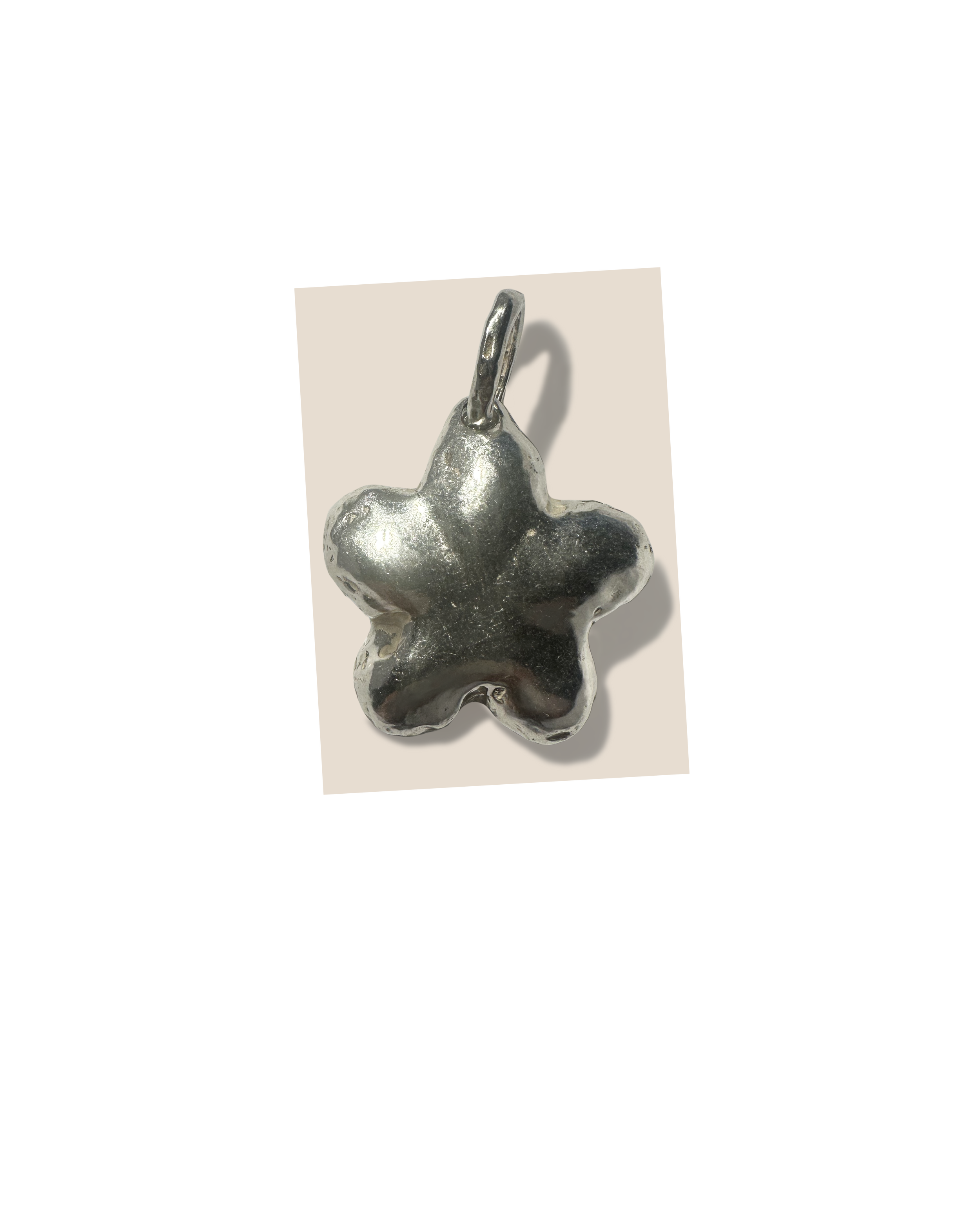Stellula.png
